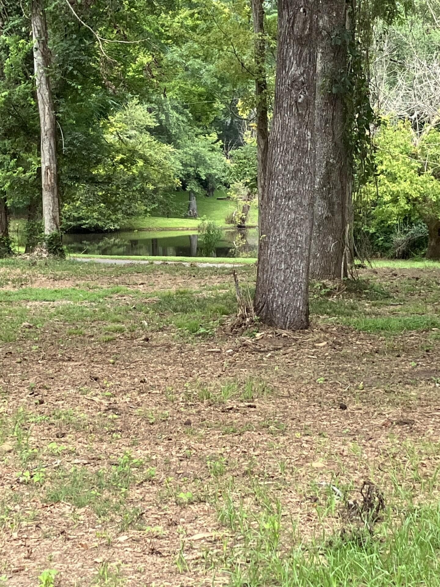 Residential Lot at 165 River Bend Drive, Clarks Hill, SC 29821, photo 11 of 12