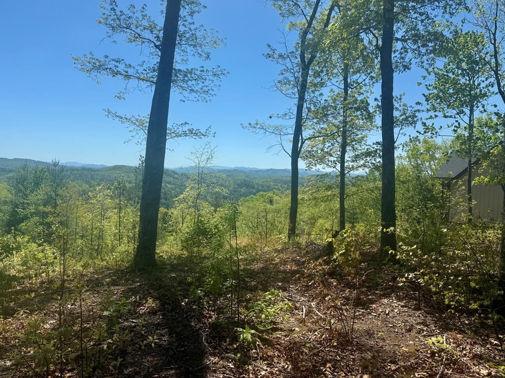 Residential Lot at 51 51 Wayah Ridge, Murphy, NC 28906, photo 2 of 6