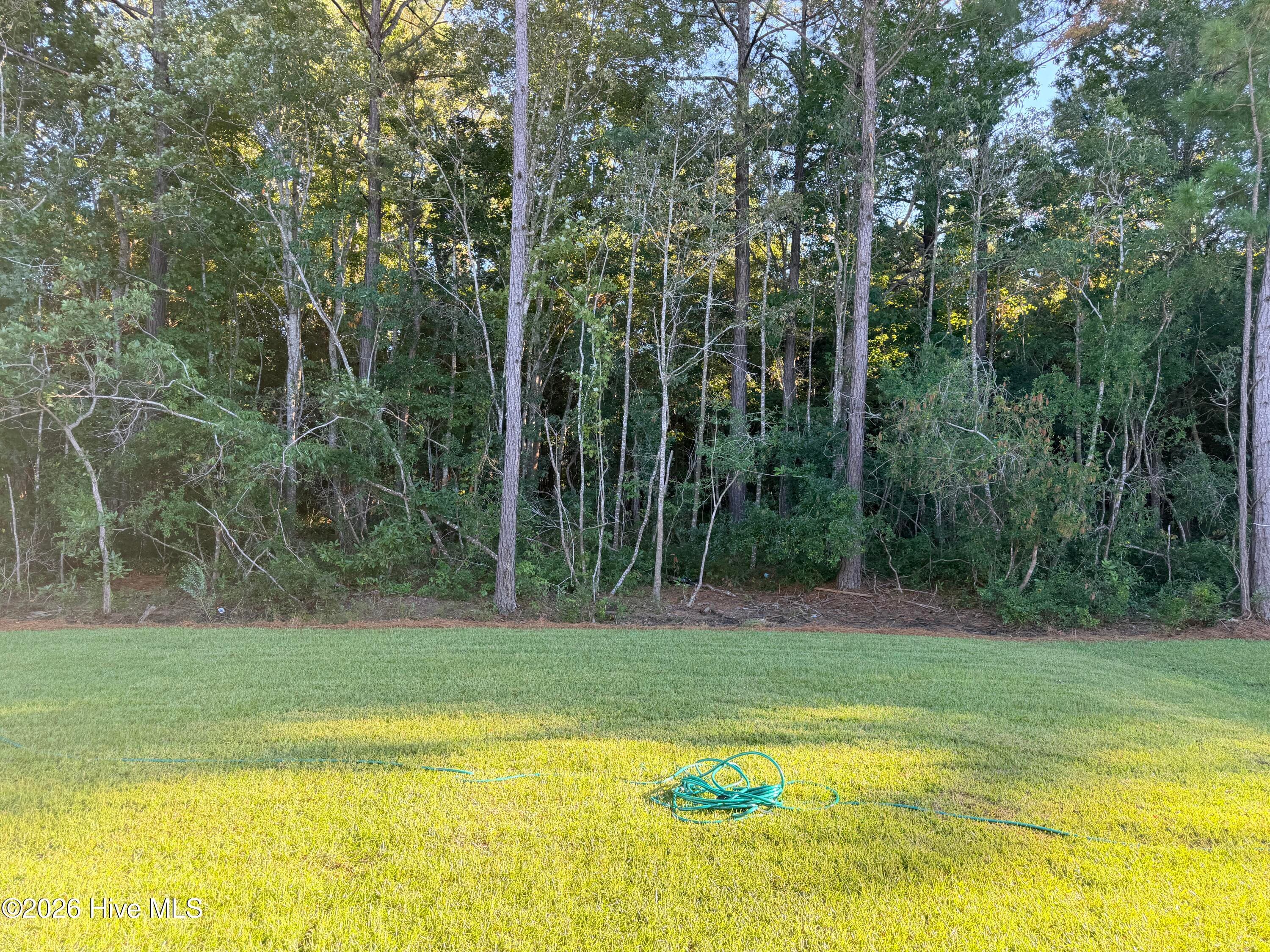 Single Family Residence at 3439 Sandhill Crane Drive SW Litchfield Il Lot 8, Ocean Isle Beach, NC 28469, photo 13 of 35