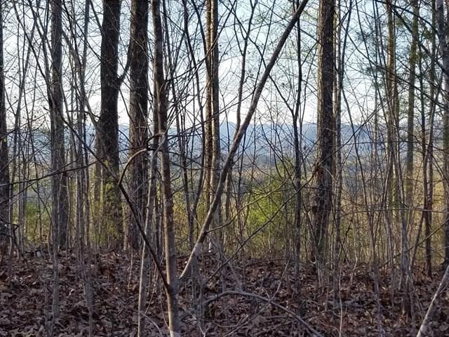 00 43 Dasali Way, Murphy, NC 28906