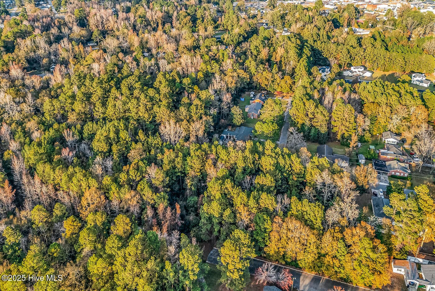 Residential Lot at 0 Woodrow Street, Tabor City, NC 28463, photo 7 of 11