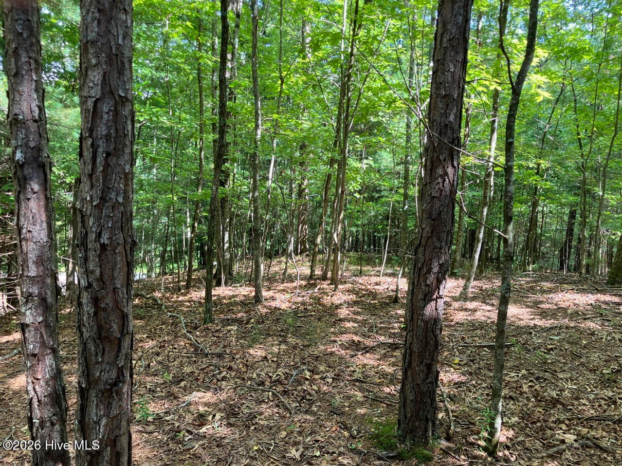 Undeveloped at 11 11 Green Cove Circle, Murphy, NC 28906, photo 2 of 8