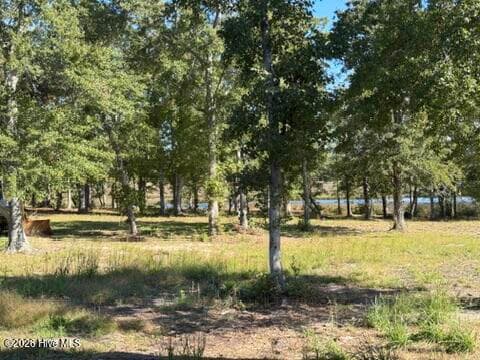 Single Family Residence at 287 E Ivybridge Drive, Hubert, NC 28539, photo 38 of 84