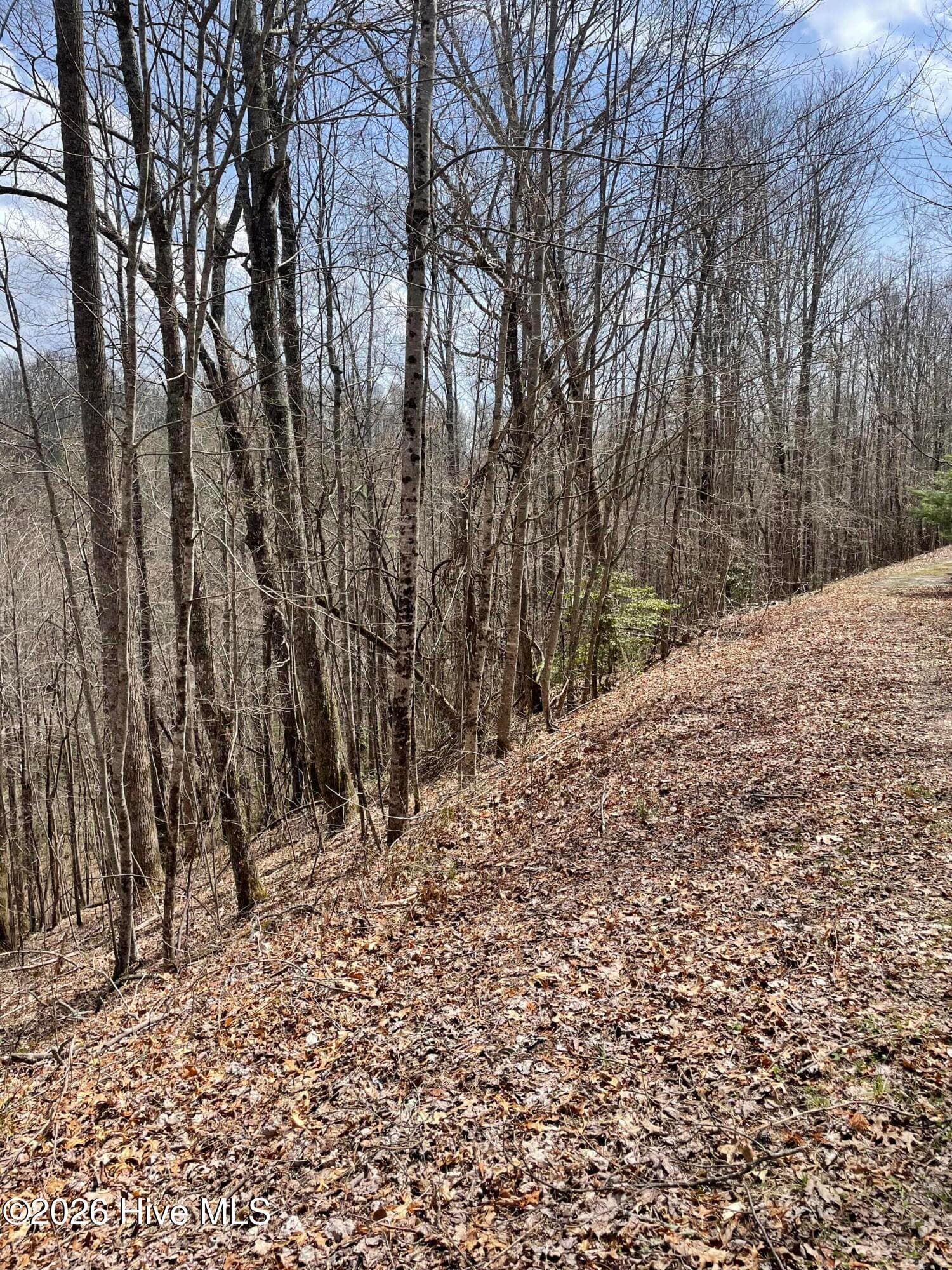 11a 11b 11A 11B Hidden Lakes Road, Topton, NC 28781