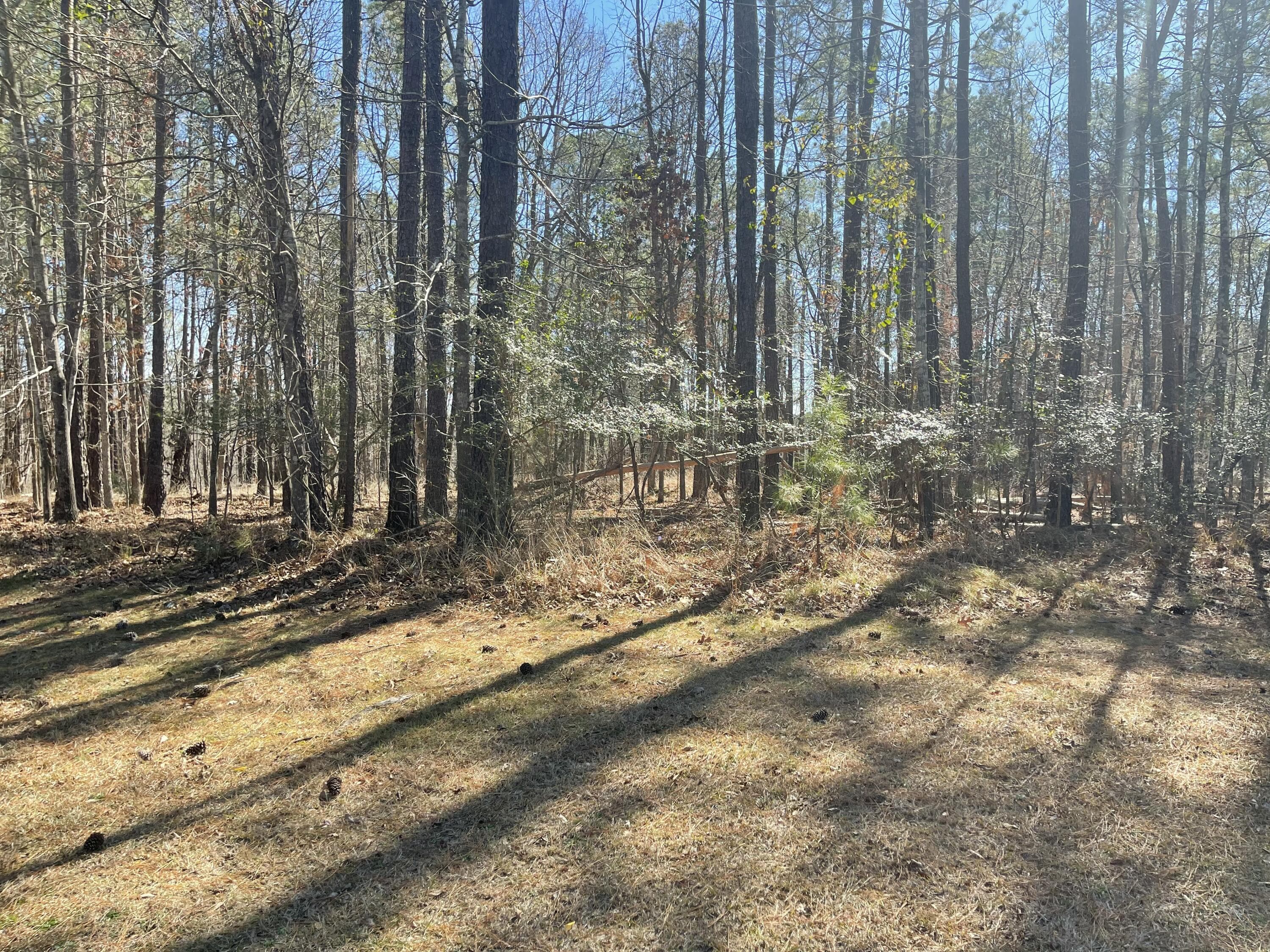Lot H-57 Longstreet Place, North Augusta, SC 29860