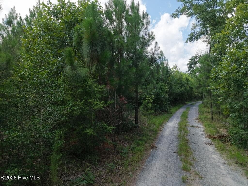Residential Lot at 1581 Doubs Chapel Road, West End, NC 27376, photo 6 of 10