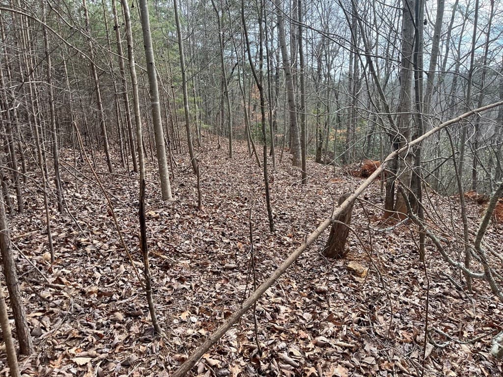 Undeveloped at 300 48 Jernigan Court, Murphy, NC 28906, photo 7 of 12