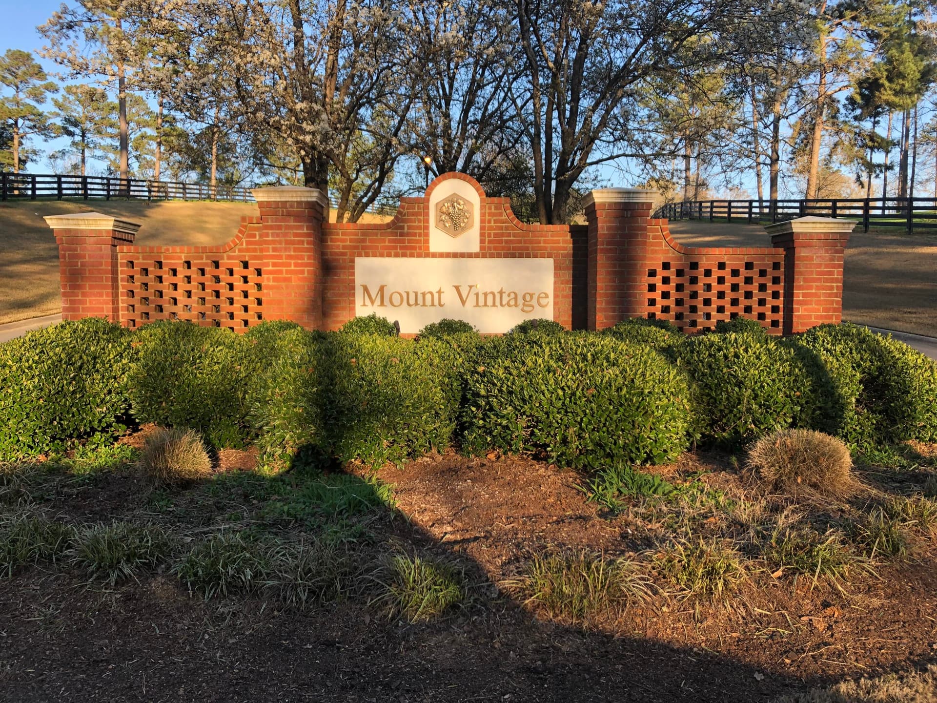 Residential Lot at Lot M-46 Mary Johnson's Court, North Augusta, SC 29860, photo 3 of 10