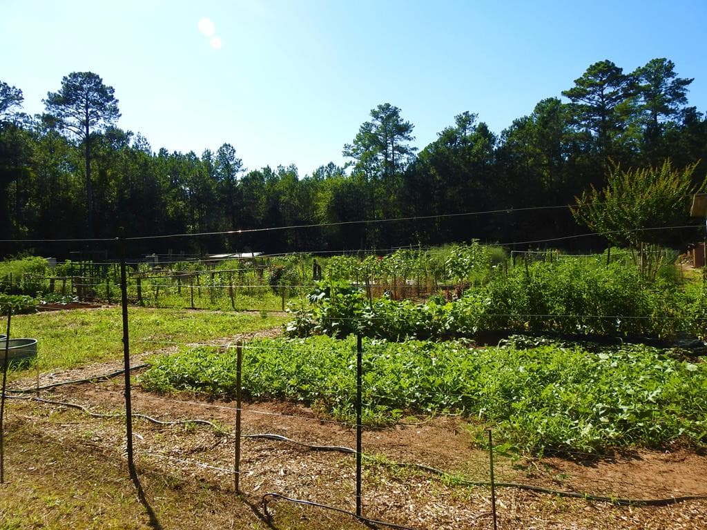 Undeveloped at L13 B28 13 Monroe Lane, McCormick, SC 29835, photo 21 of 32