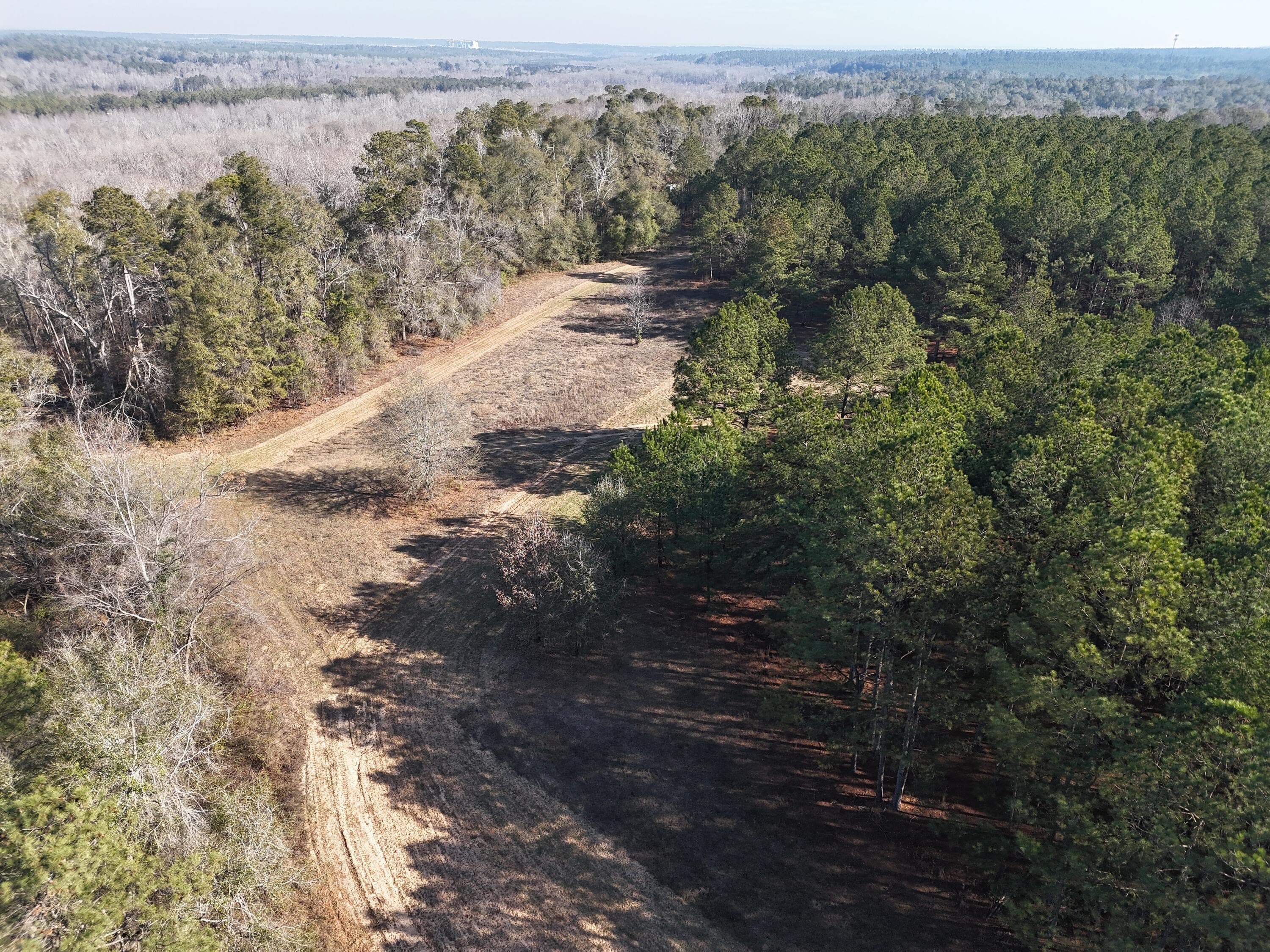 Undeveloped at 0 Ponderosa Road, Waynesboro, GA 30830, photo 13 of 45