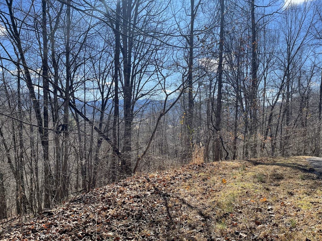 Residential Lot at Lot 47j 47J Grandview Drive, Hayesville, NC 28904, photo 3 of 6