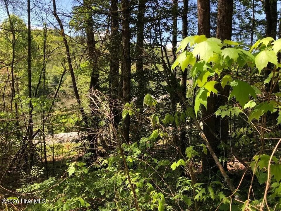 Residential Lot at Lot 7 7 Santeetlah Ridge, Robbinsville, NC 28771, photo 10 of 10