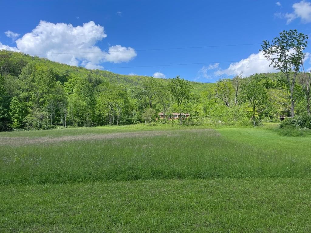Wooded at 155 Cedar Cliff Lane, Murphy, NC 28906