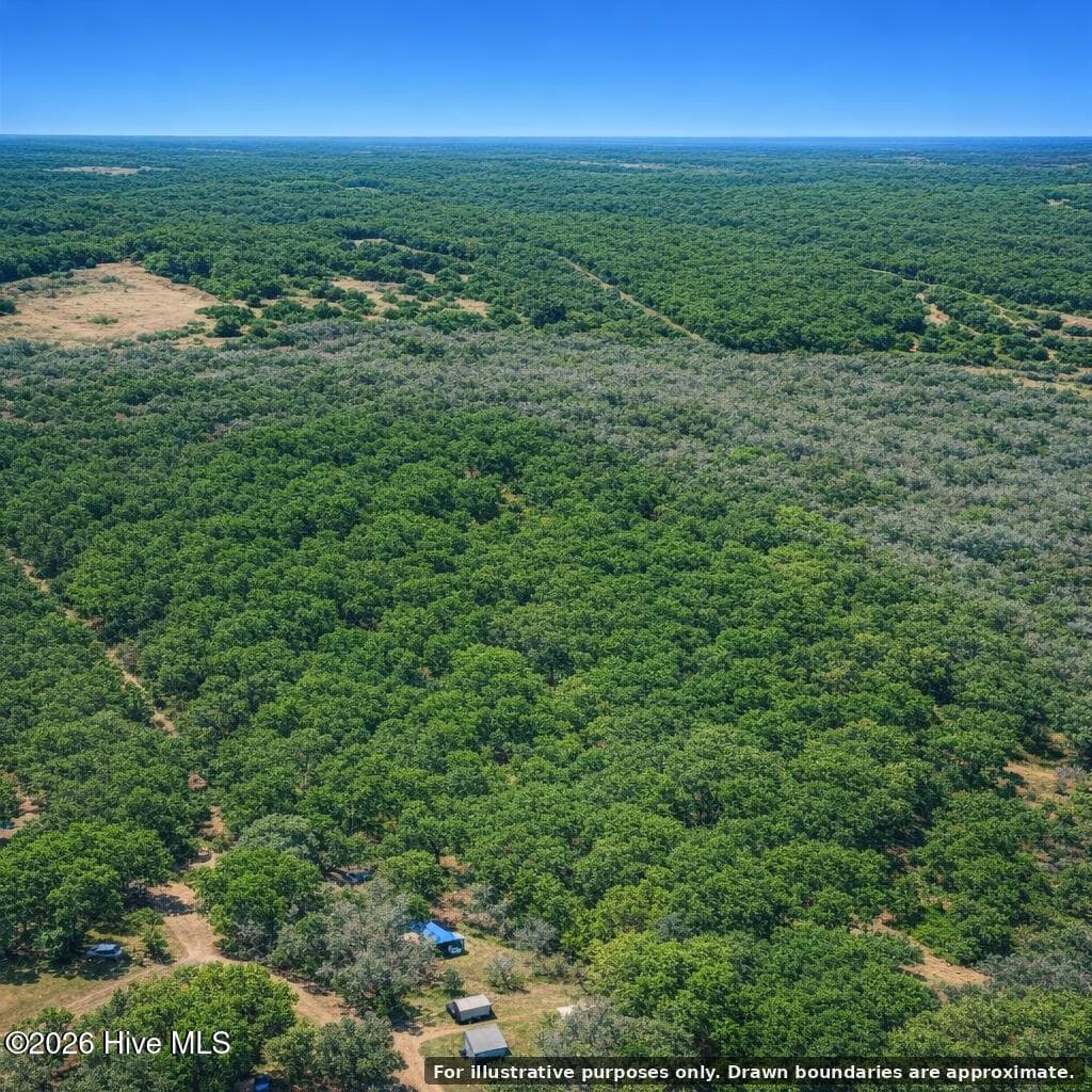 Undeveloped at 0 Copperhead Lane, Burgaw, NC 28425, photo 20 of 24