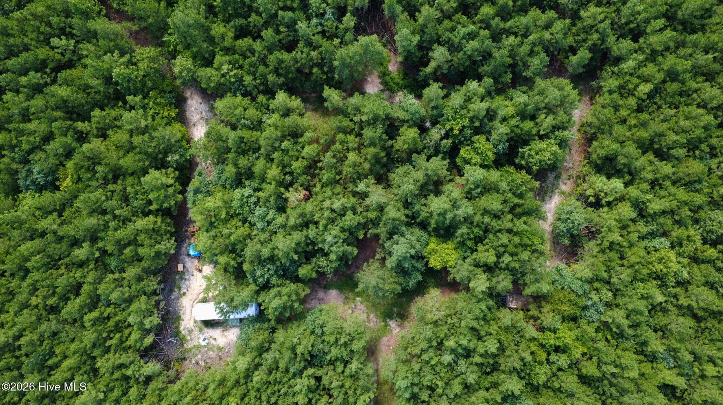 Undeveloped at 239 16 Lick Creek Road, Carthage, NC 28327, photo 8 of 12