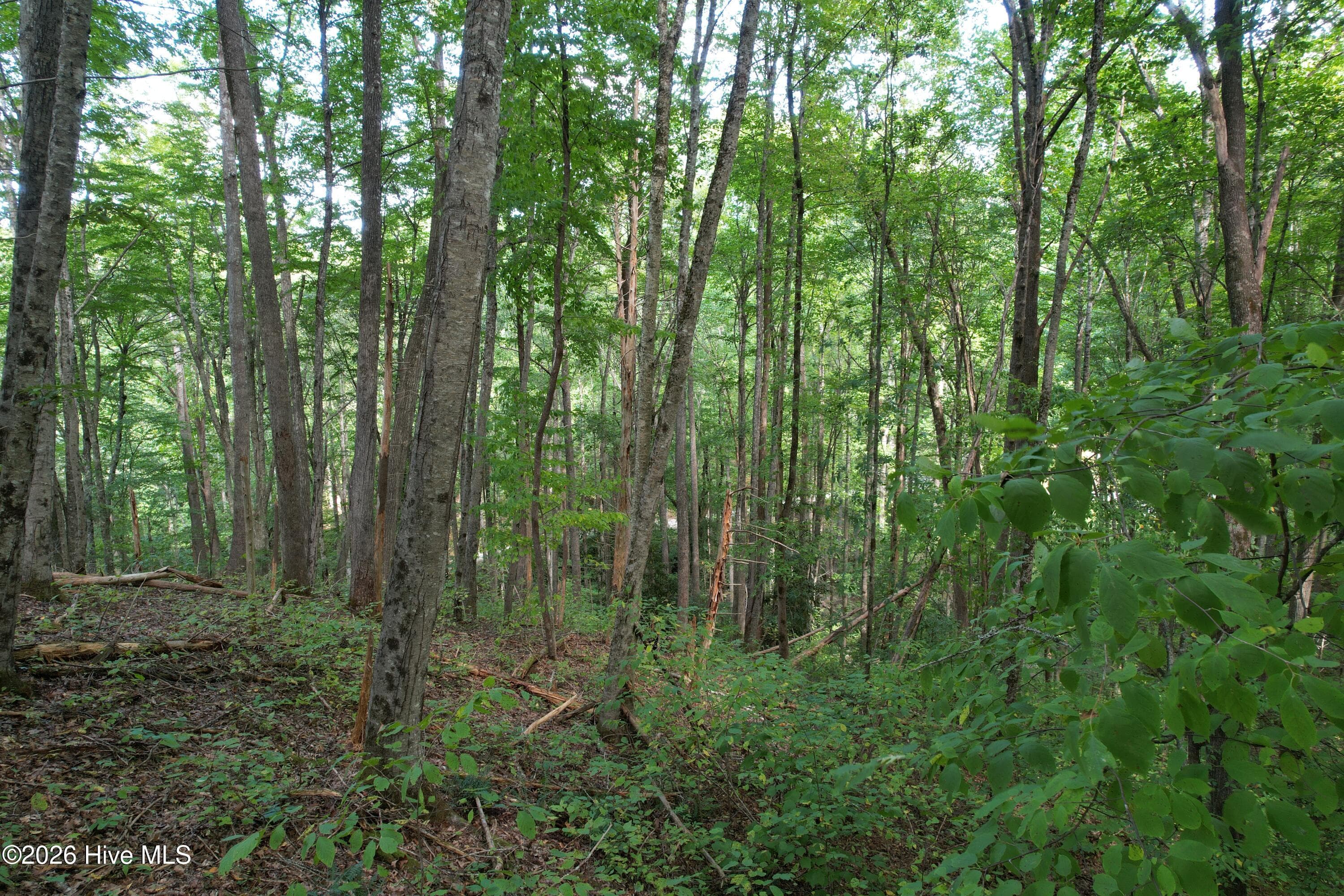 Residential Lot at 10 Deer Park Lane, Topton, NC 28781, photo 2 of 2
