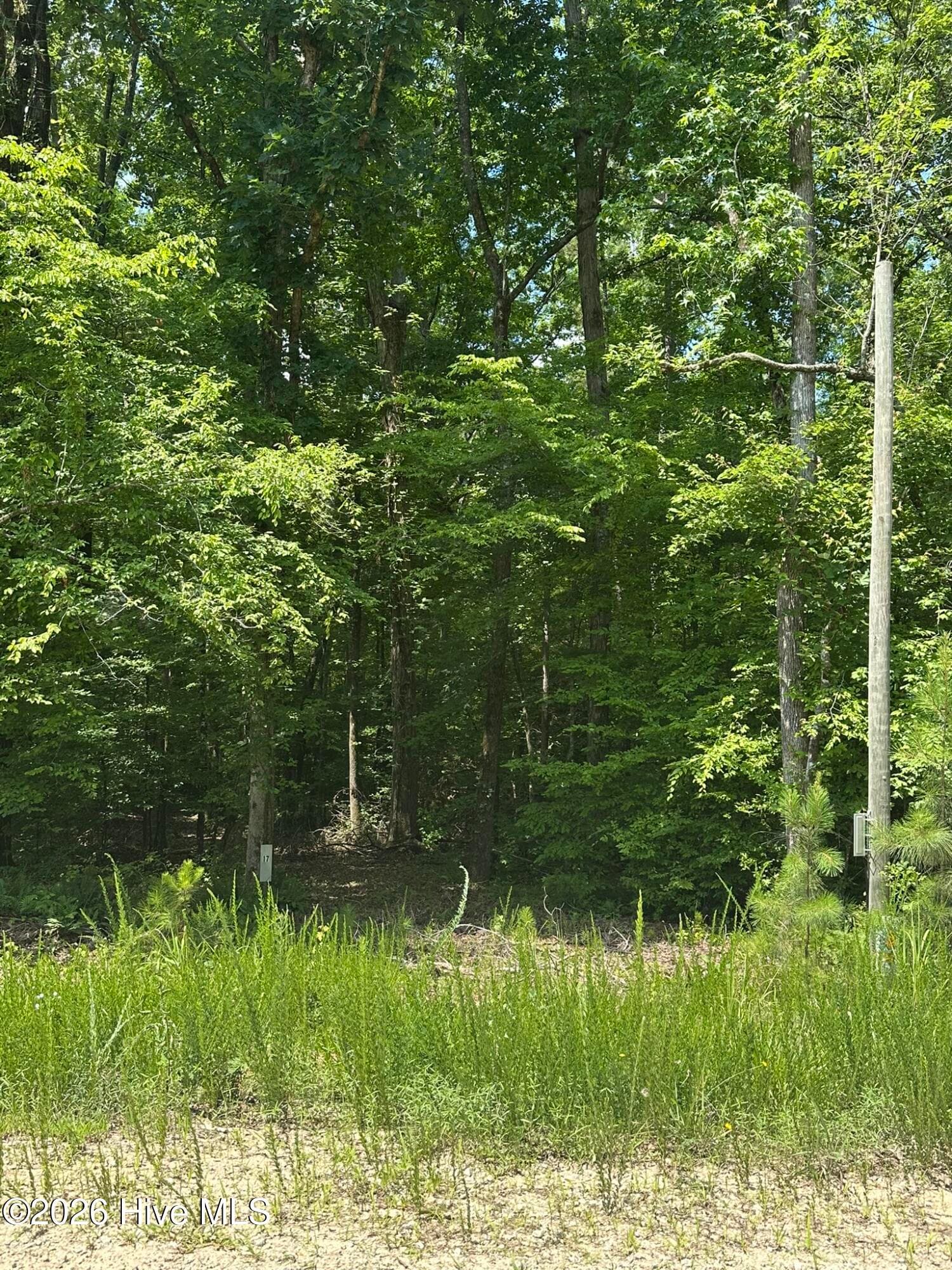 Residential Lot at Lot 17 Lakeshore Estates Drive, Lincolnton, GA 30817, photo 3 of 22