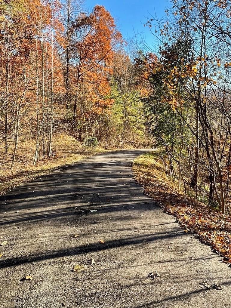 Residential Lot at Lot 41c 41C Ash Branch Circle, Hayesville, NC 28904, photo 3 of 3