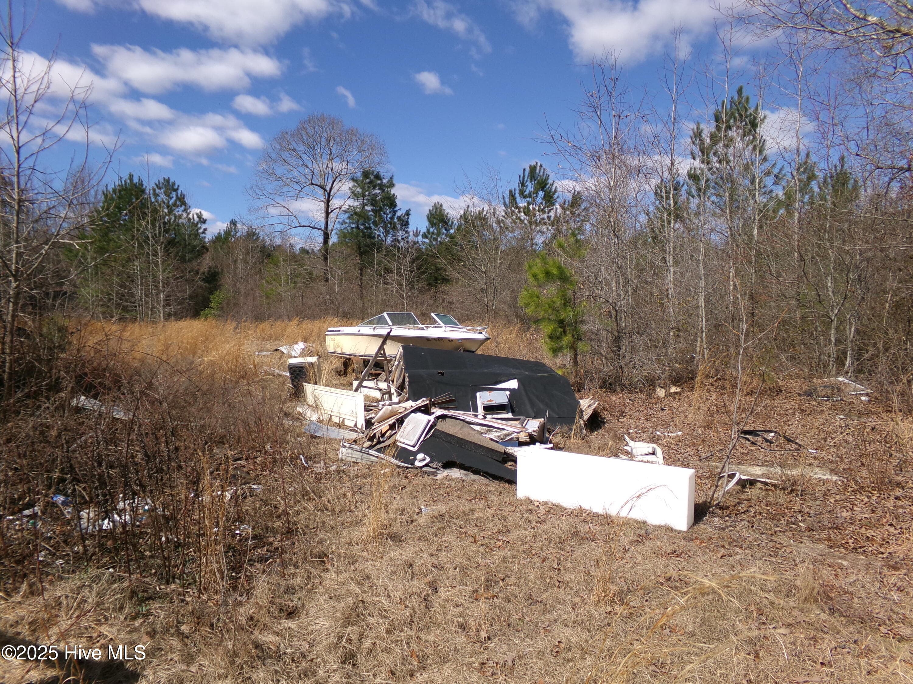 Wooded at 4766 Old Wire Road, Red Springs, NC 28377, photo 7 of 14