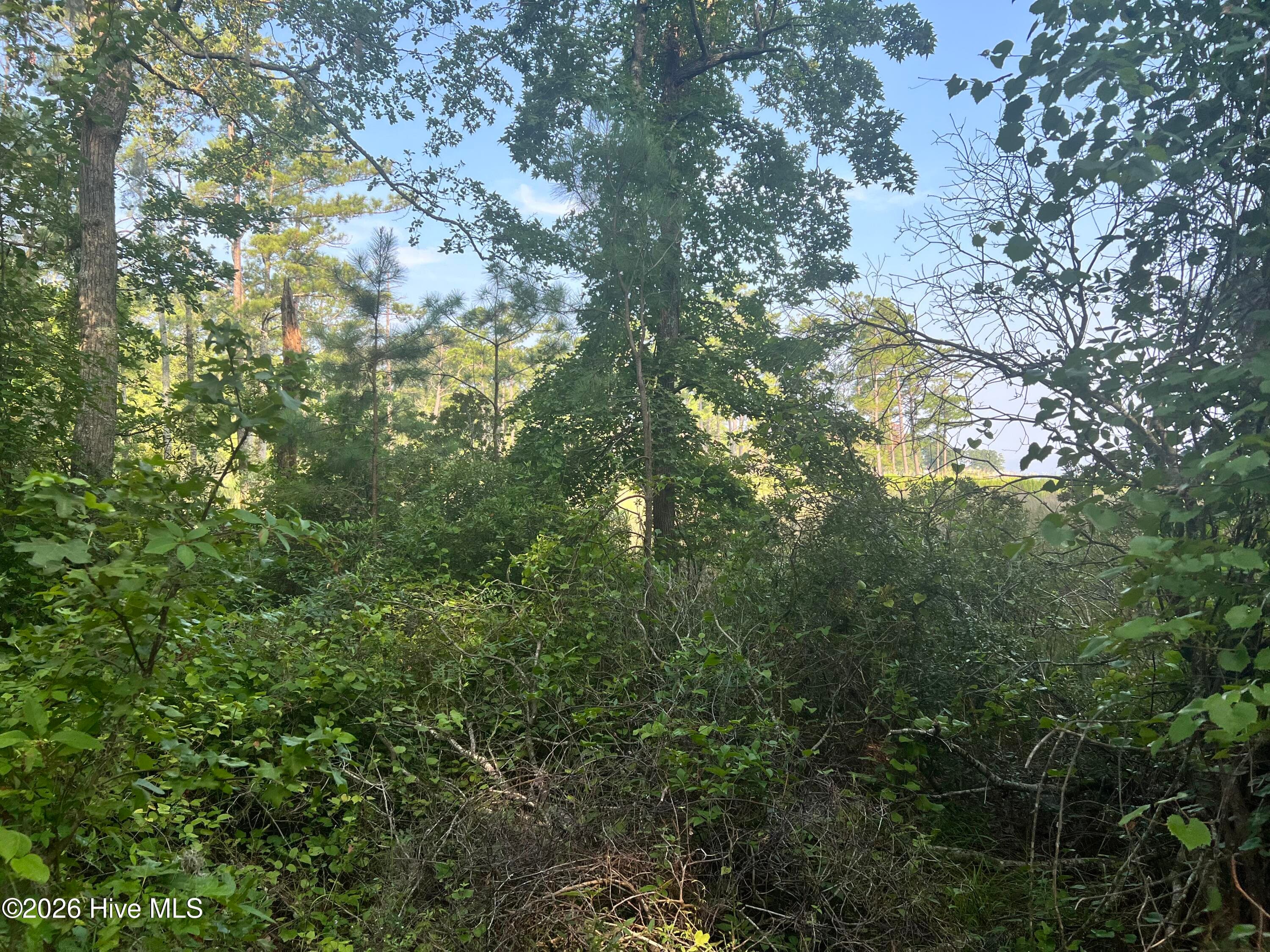 Residential Lot at Lot 2 & 3 Strawhorn Creek Road, Aurora, NC 27806, photo 16 of 18