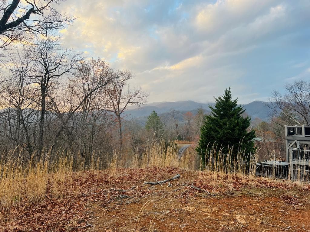 Residential Lot at 00 36 Aster Trail, Marble, NC 28905, photo 3 of 14