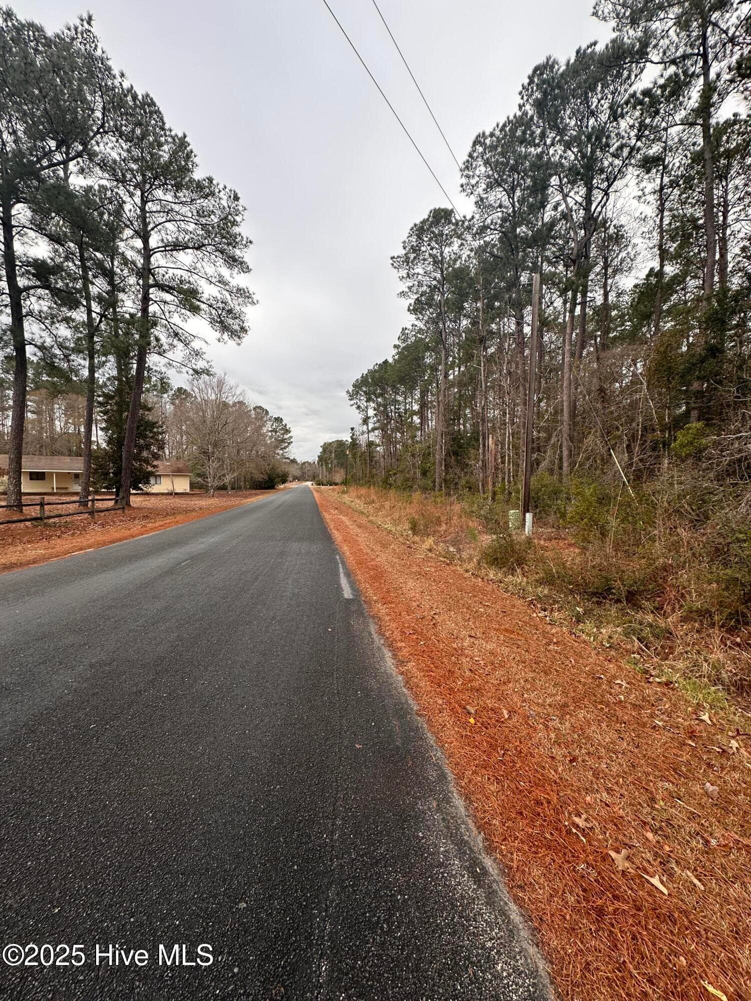 Undeveloped at 151 Dogwood Trail SW, Supply, NC 28462, photo 3 of 3