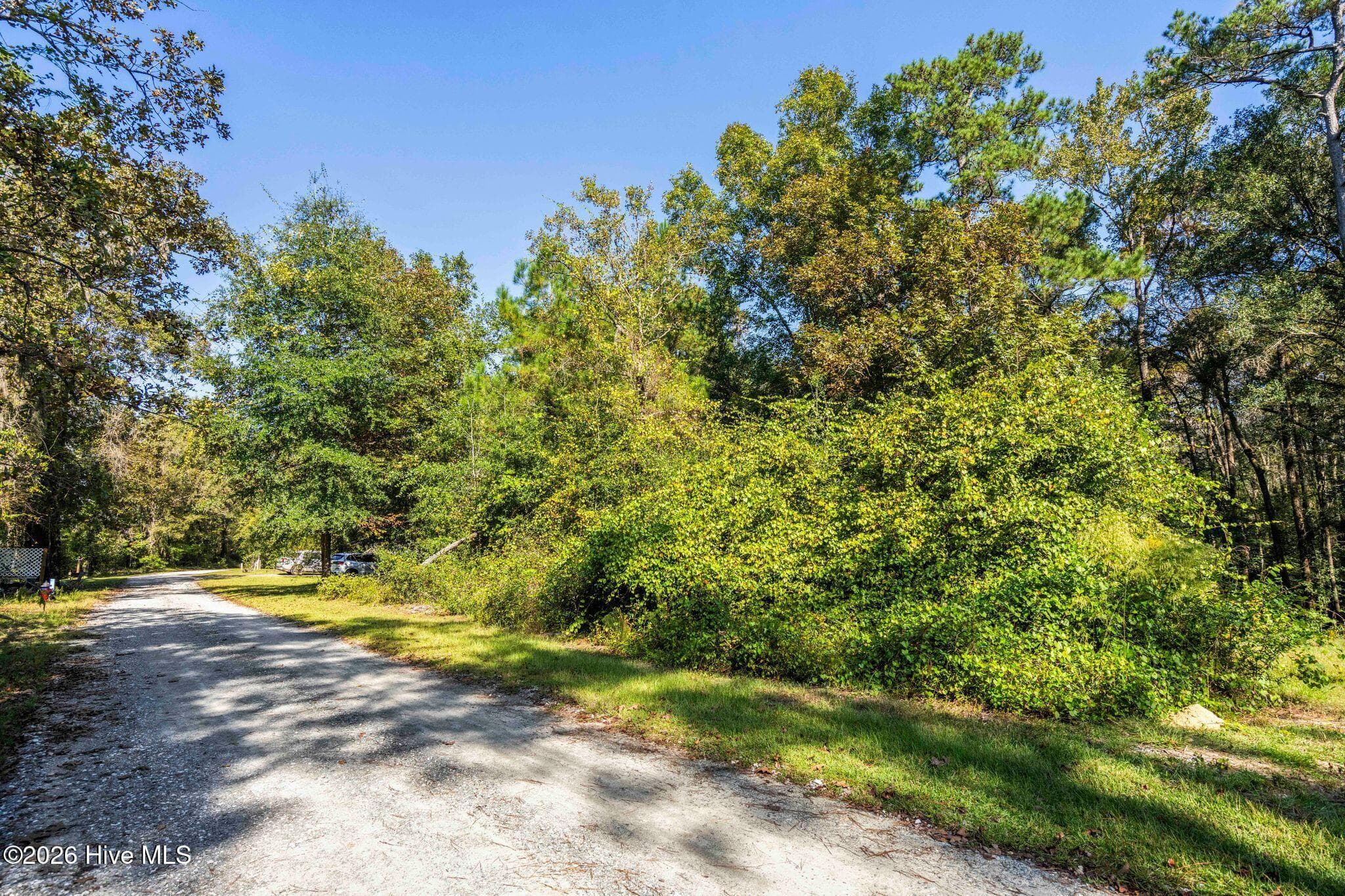 5 5 Riverview Drive, Burgaw, NC 28425