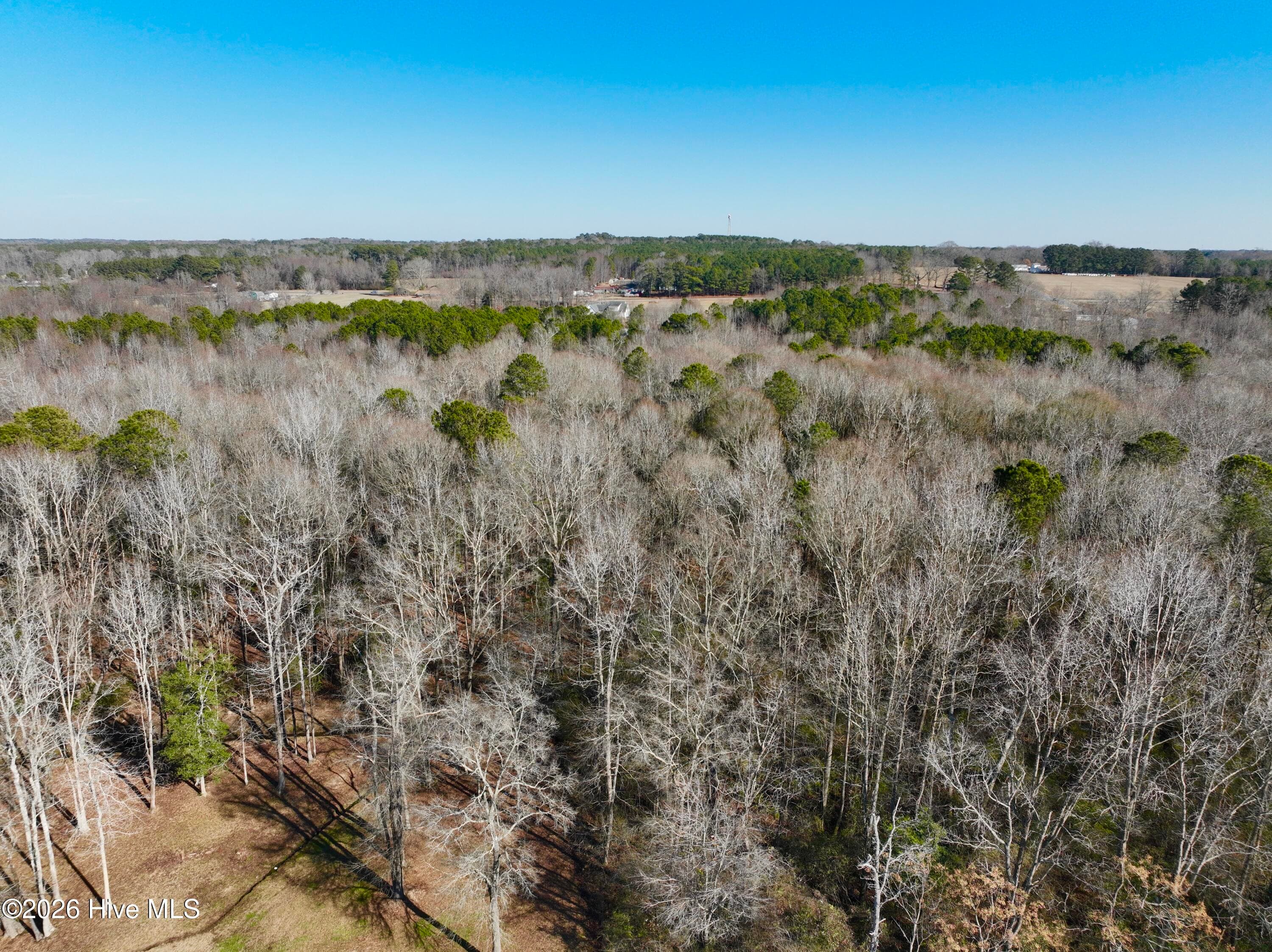 Wooded at 0 Fred Circle S, Kenly, NC 27542, photo 18 of 21
