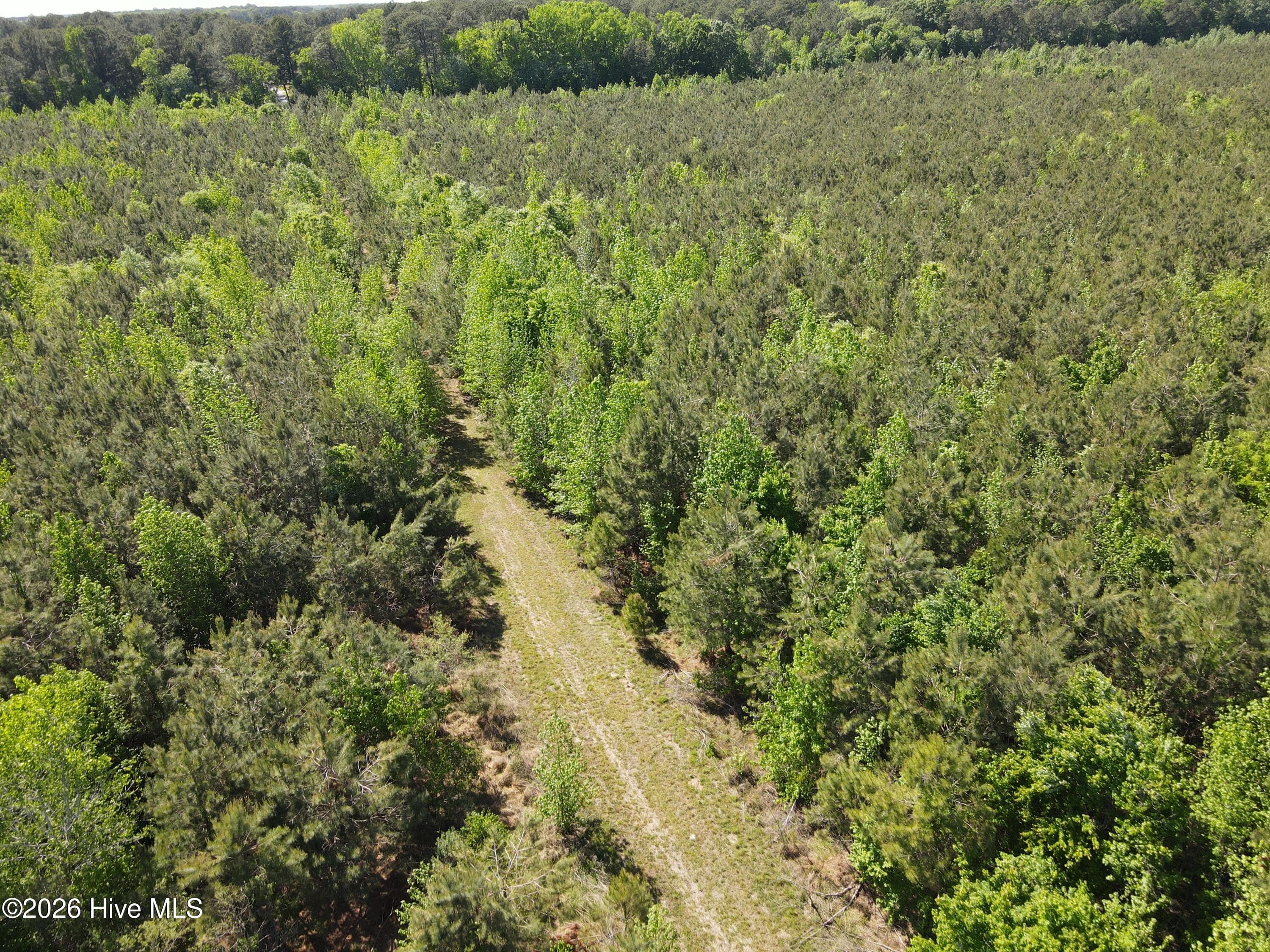 Undeveloped at 0 Colice Hall Lane, Ahoskie, NC 27910, photo 16 of 20