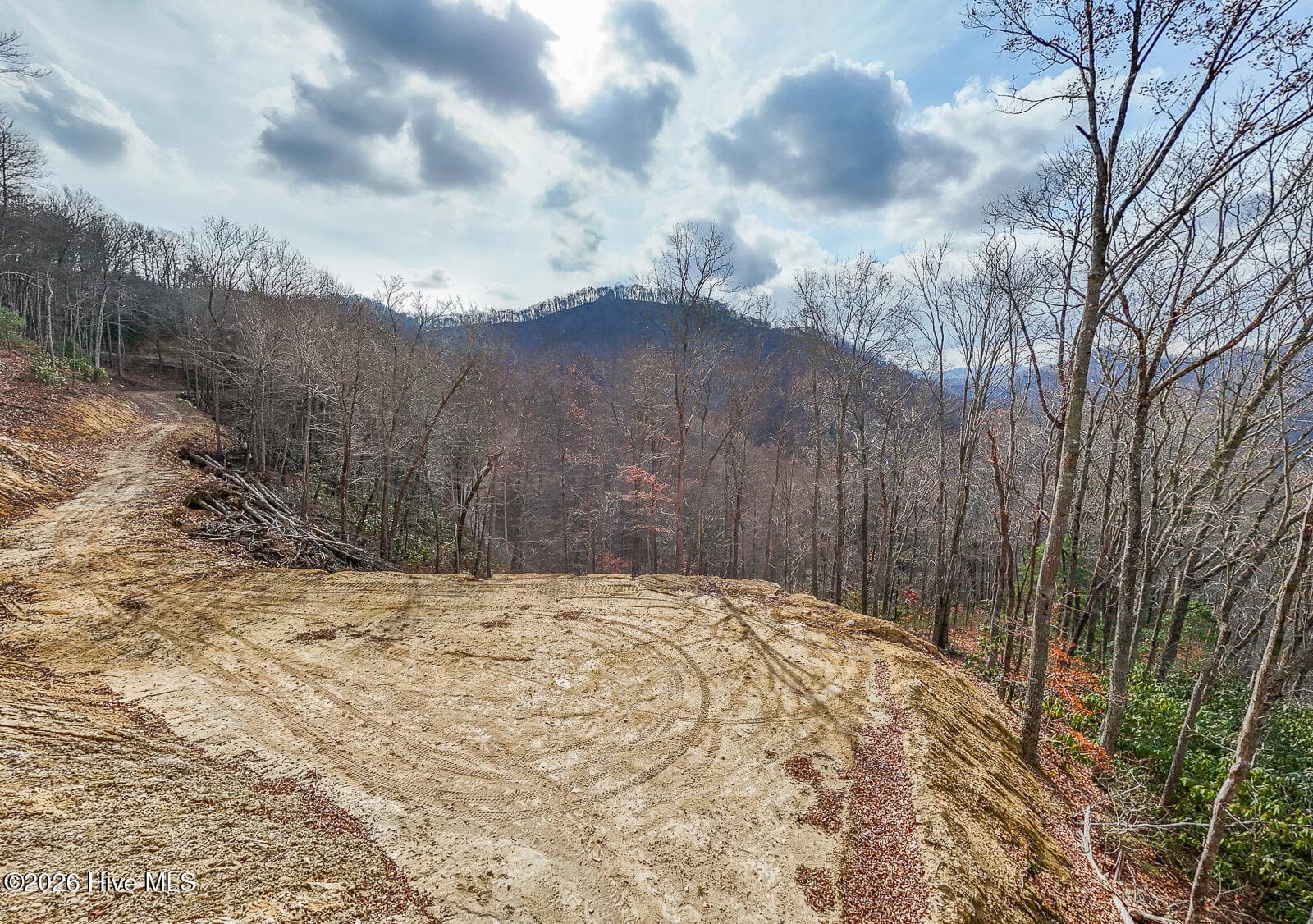 Undeveloped at Lot 20 Walnut Cove Branch, Robbinsville, NC 28771, photo 5 of 31