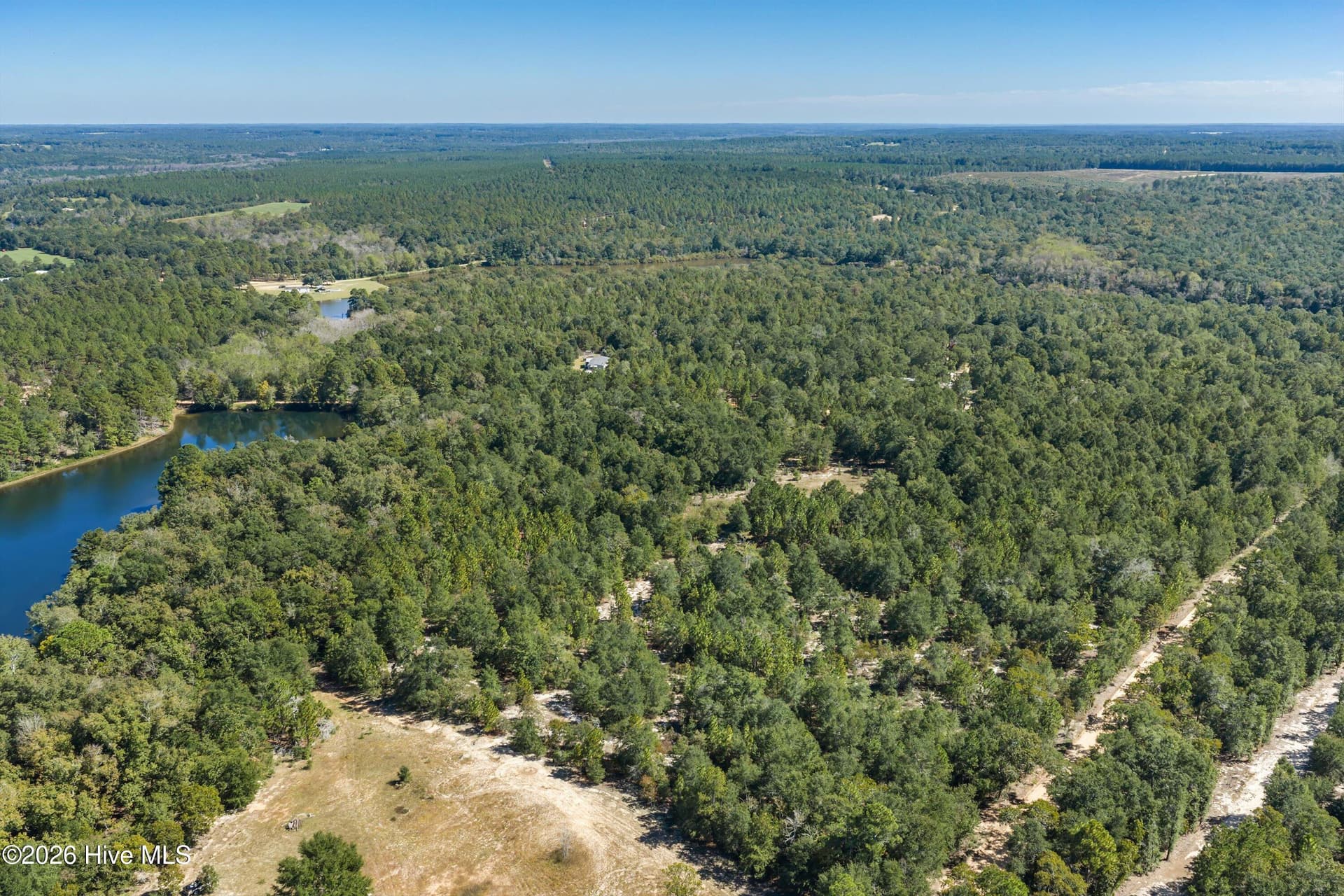 Residential Lot at 000.0 Mary Rawls Road, Wagener, SC 29164, photo 18 of 21