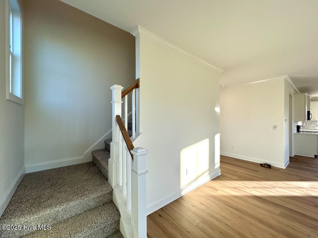 SIMILAR PHOTO - 814 Tupelo Tree Drive, Hubert, NC 28539