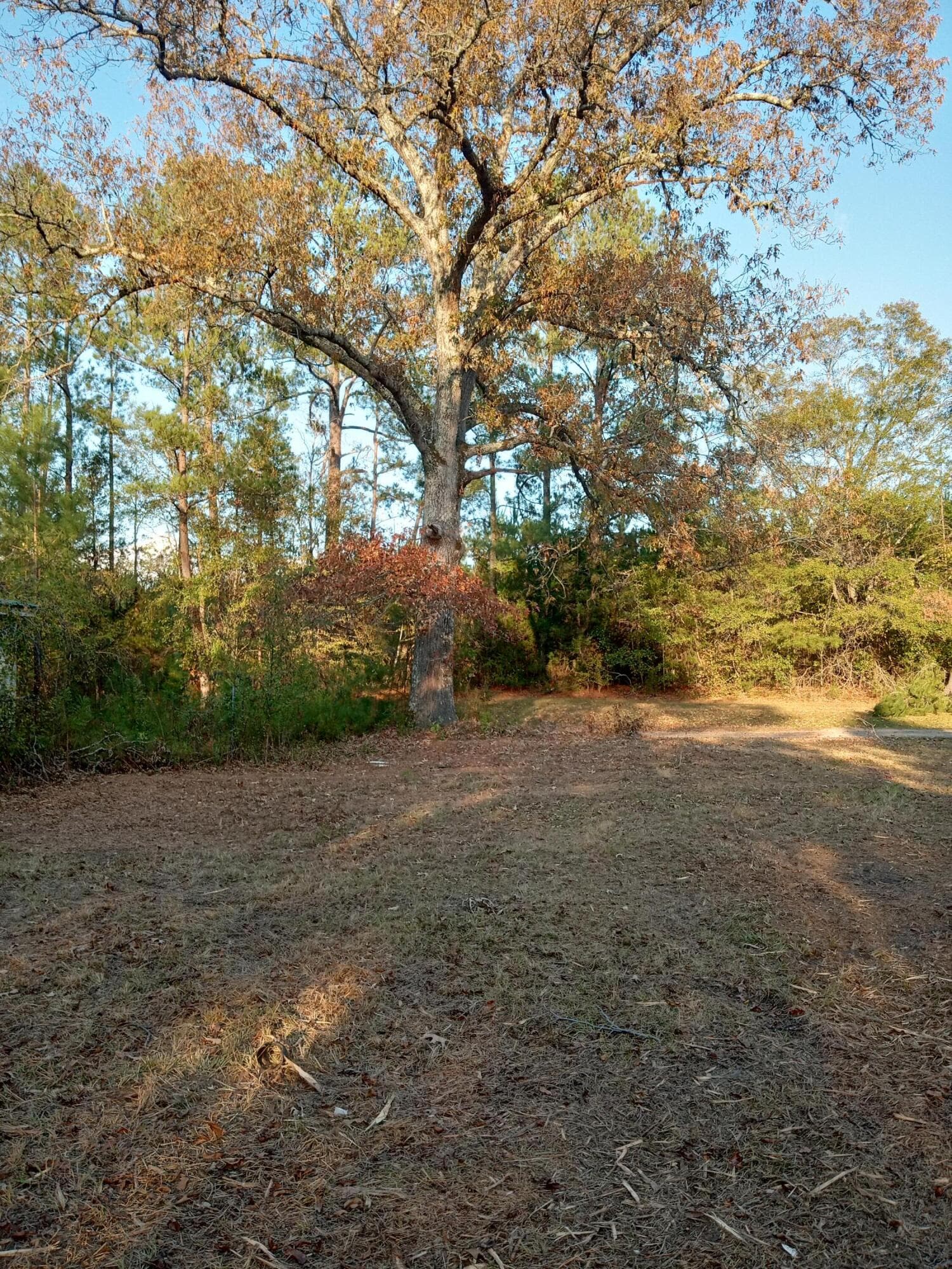 Residential Lot at 2722 Sc-23, Modoc, SC 29838, photo 53 of 62