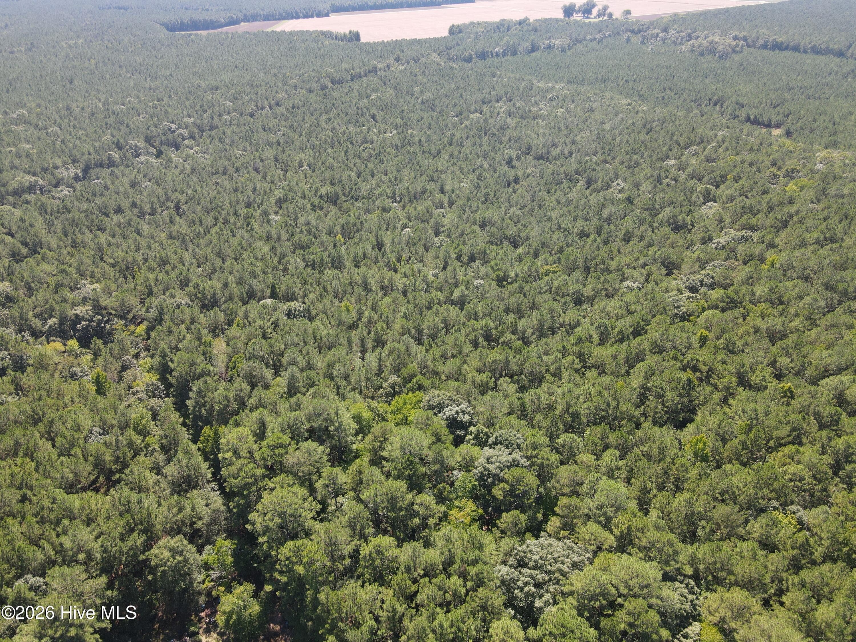 Wooded at Tbd Nc 305, Jackson, NC 27845, photo 5 of 9