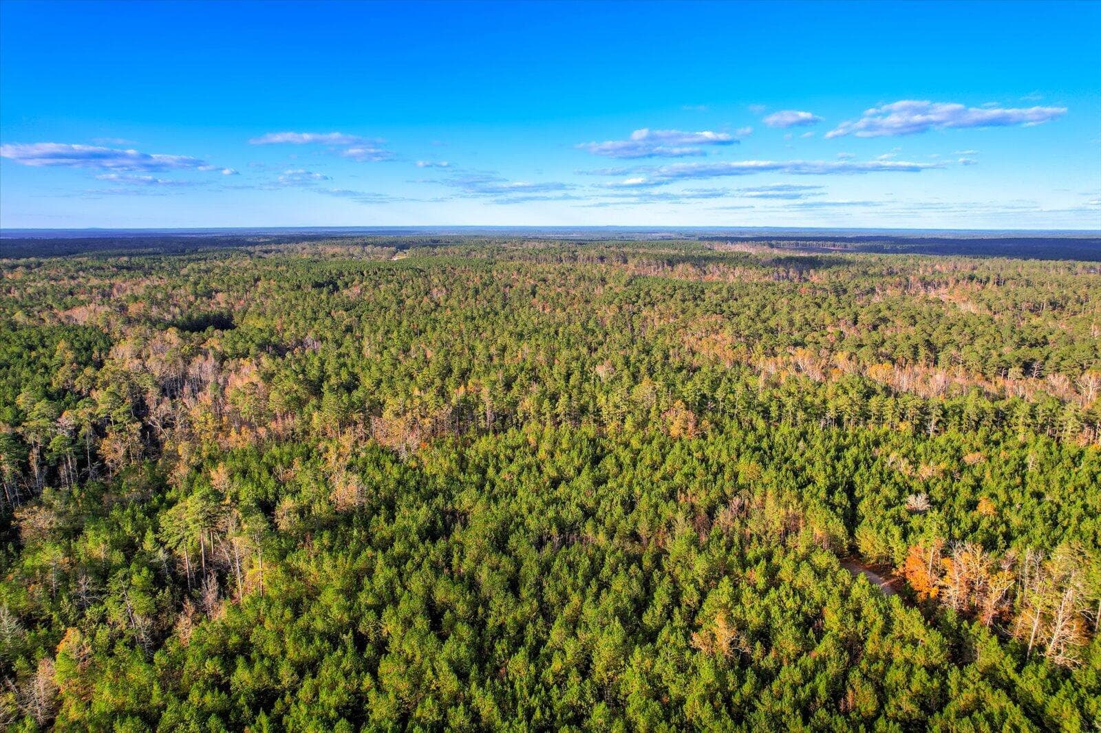 Undeveloped at Tbd2 Sc-23, Edgefield, SC 29824, photo 36 of 41
