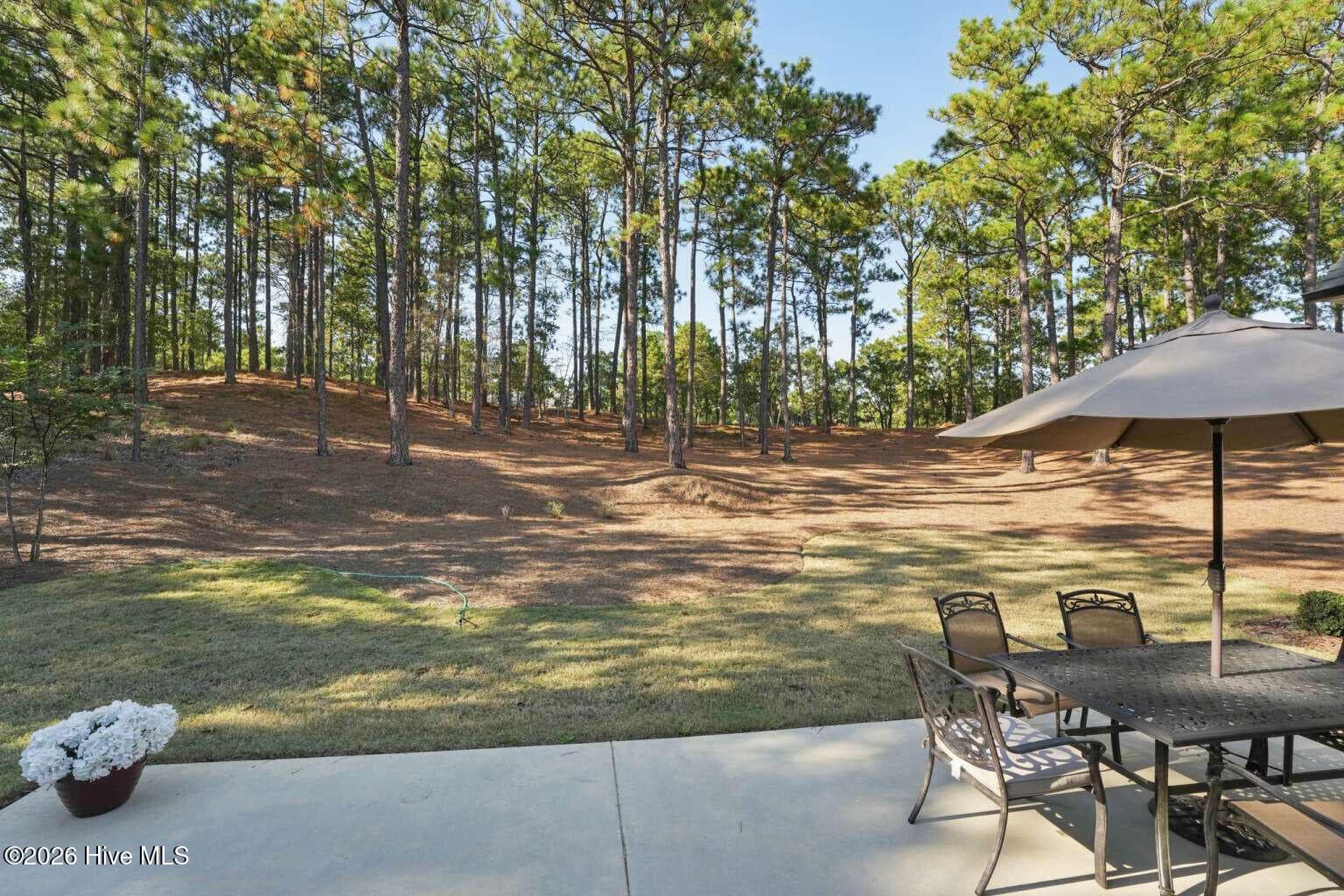 Single Family Residence at 113 Pittman Road, Seven Lakes, NC 27376, photo 35 of 207