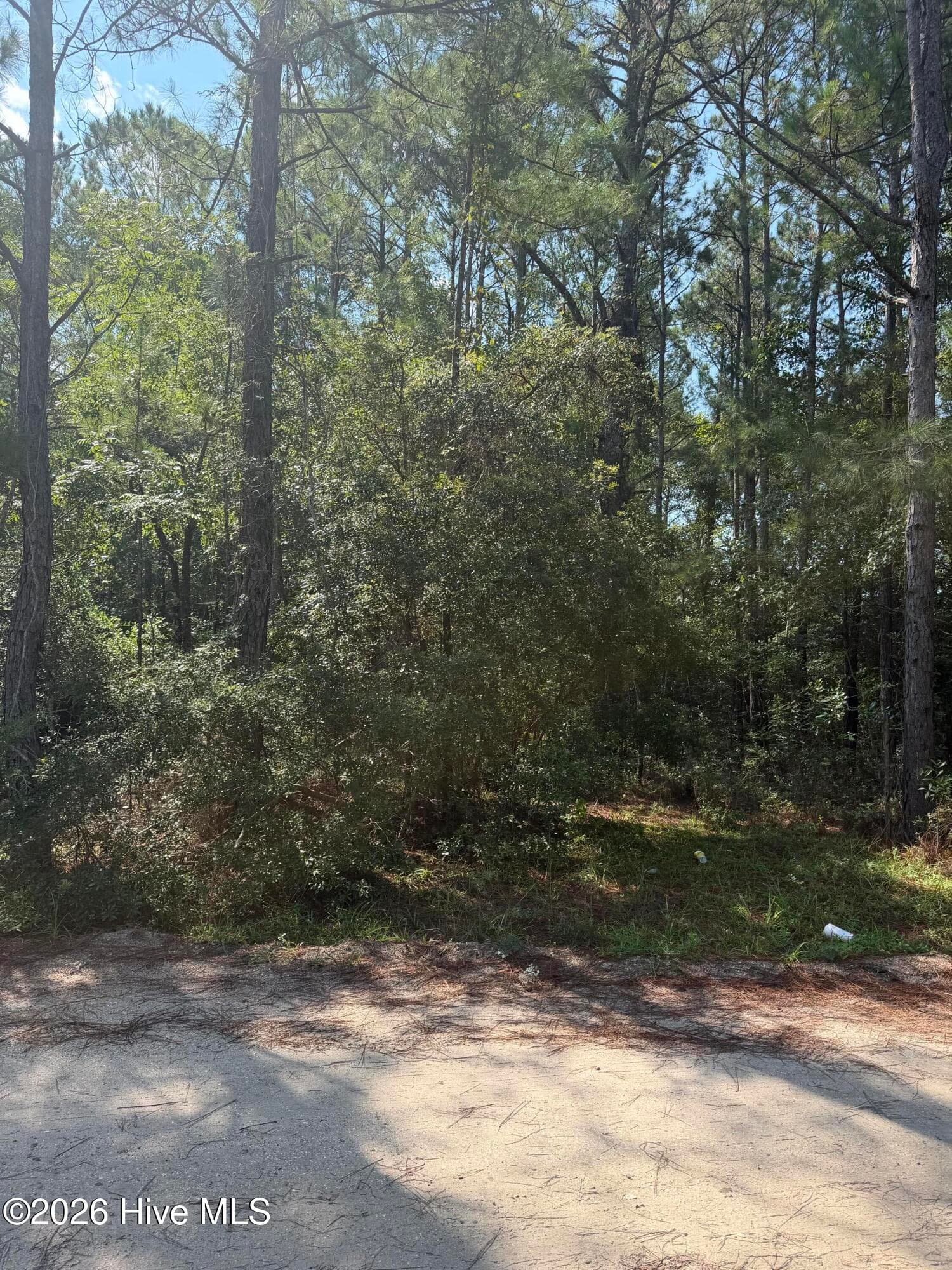 Residential Lot at 2853 Robin Drive SW, Shallotte, NC 28470, photo 9 of 10