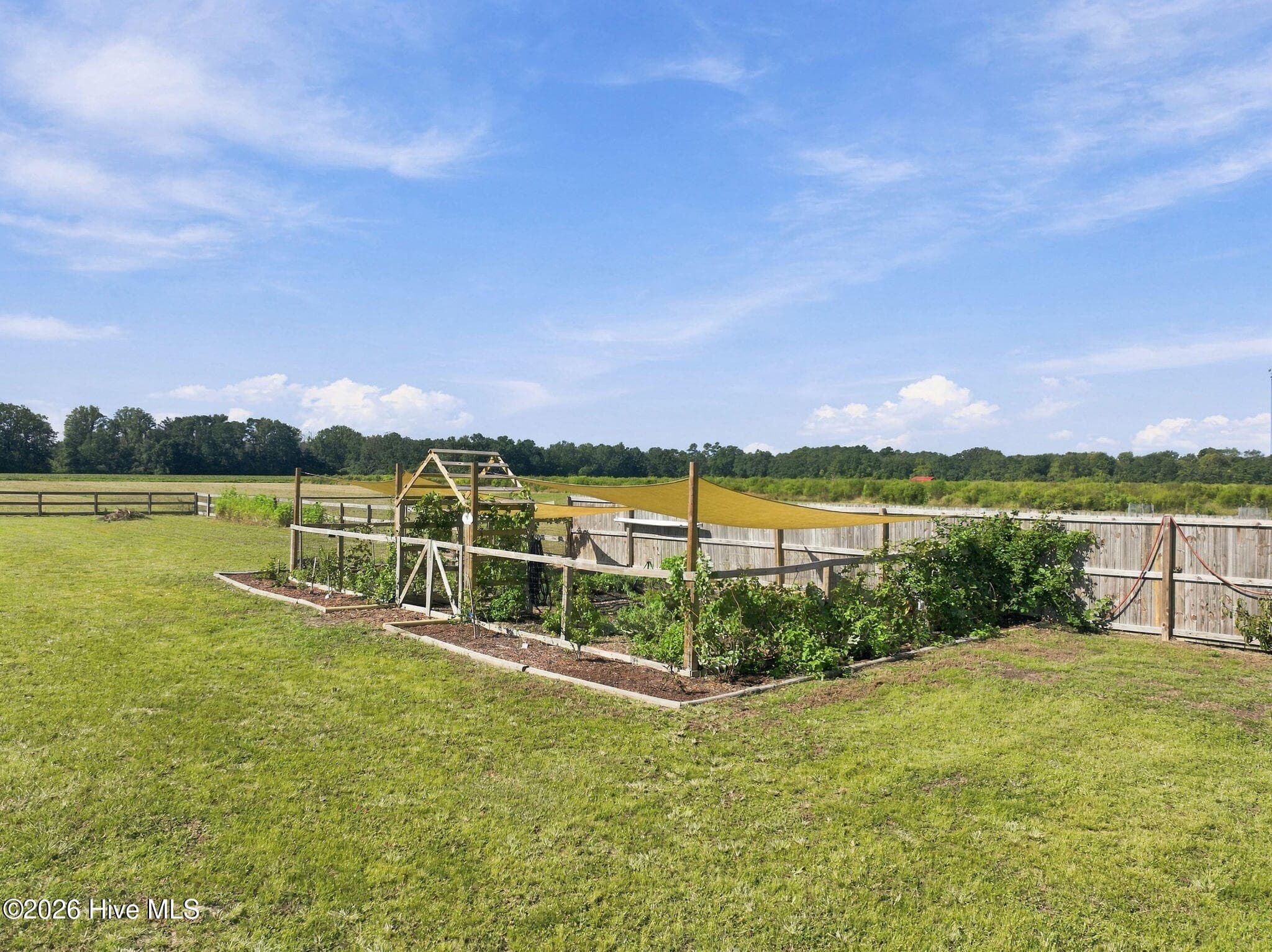 Already established ORGANIC garden - ready for it' new caretaker! - 1400 Chason Road, Lumber Bridge, NC 28357