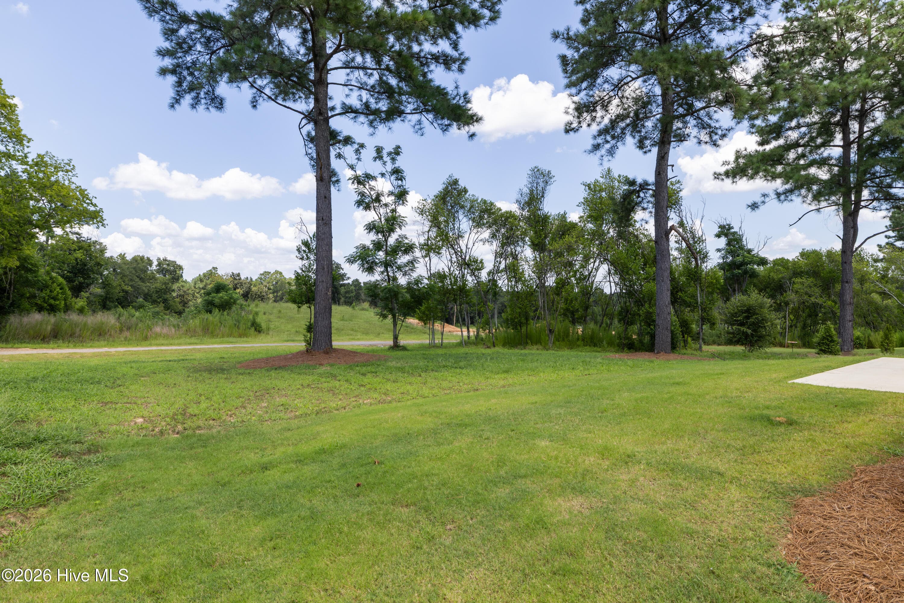 Lot size 0.64 acre - 1340 Bellingham Drive, Beech Island, SC 29842