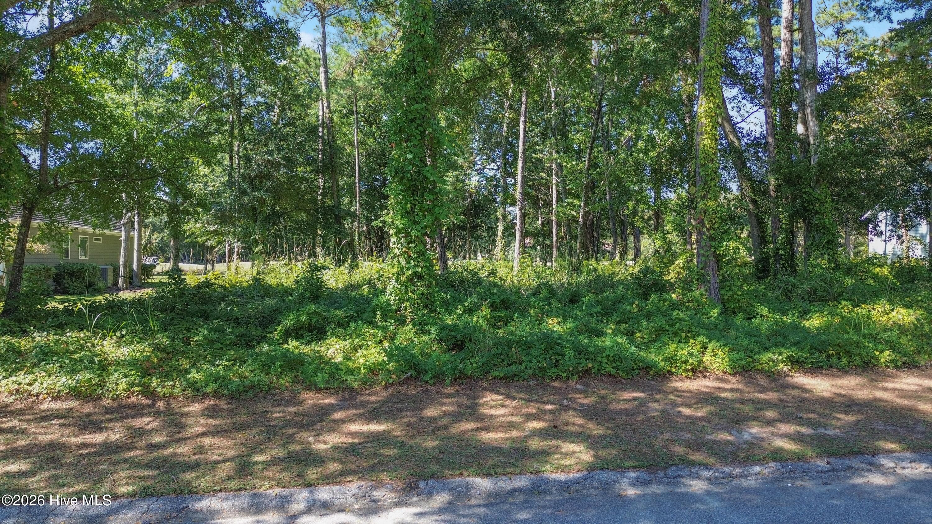 Wooded at 1629 27 Colonist Square SW, Ocean Isle Beach, NC 28469, photo 2 of 2