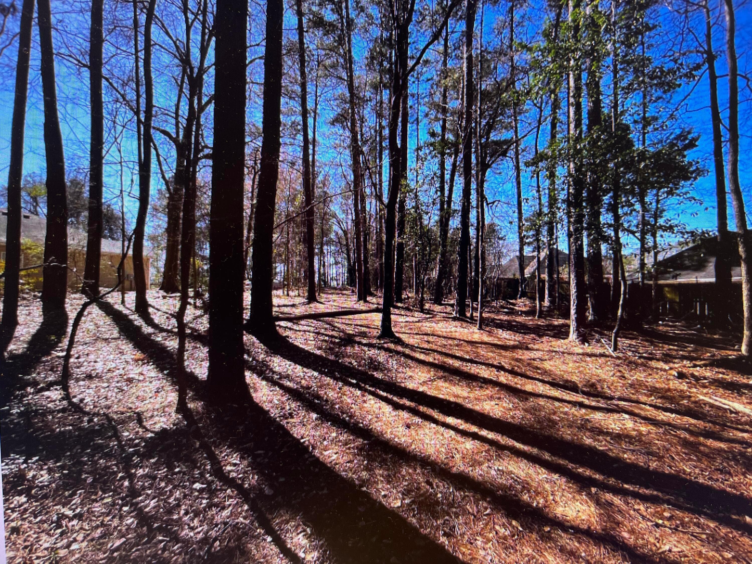 Undeveloped at 0 Osprey Lane, Martinez, GA 30907, photo 3 of 5