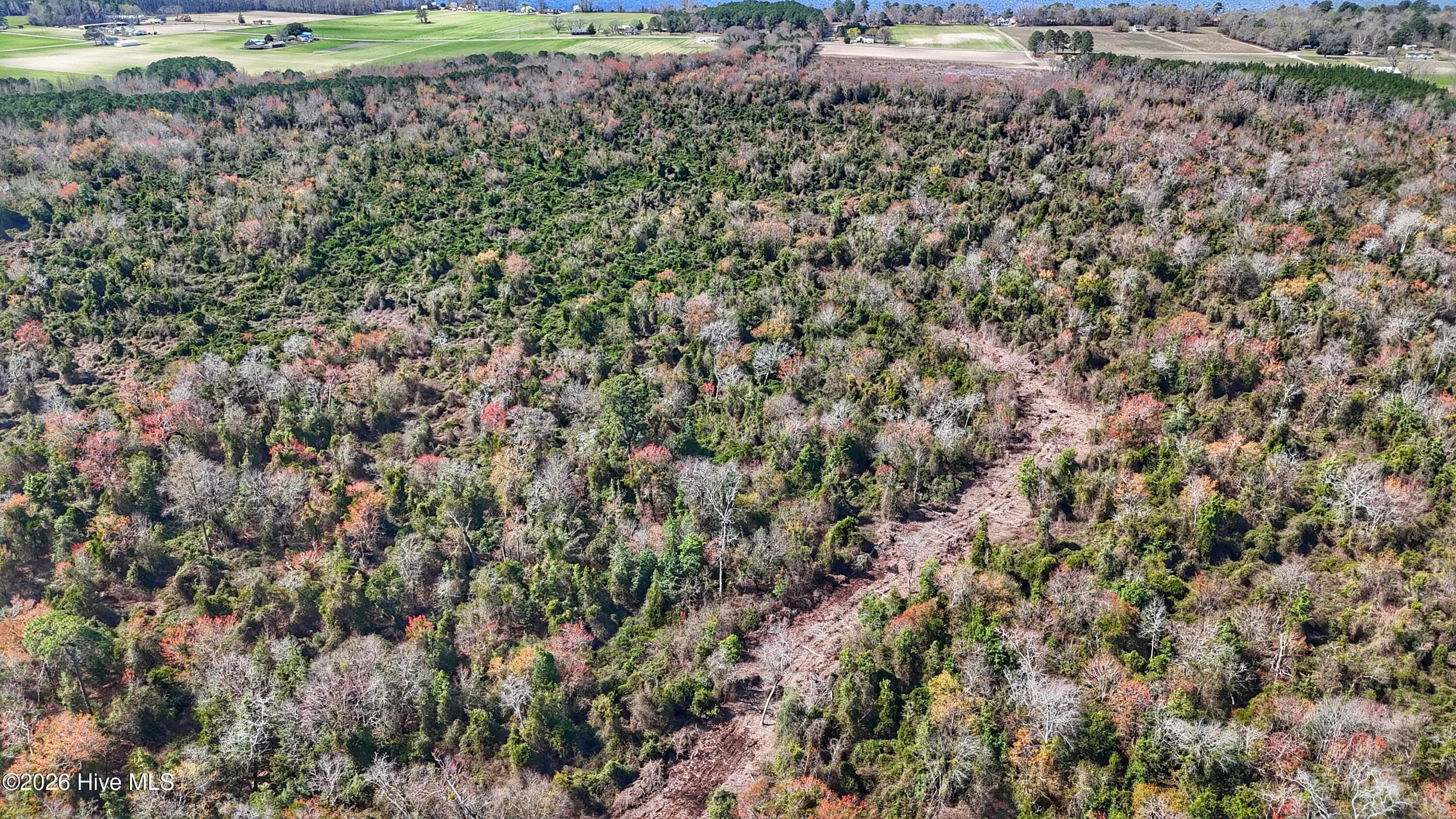 Wooded at 1612 Rocky Hock Landing Road, Edenton, NC 27932, photo 15 of 45