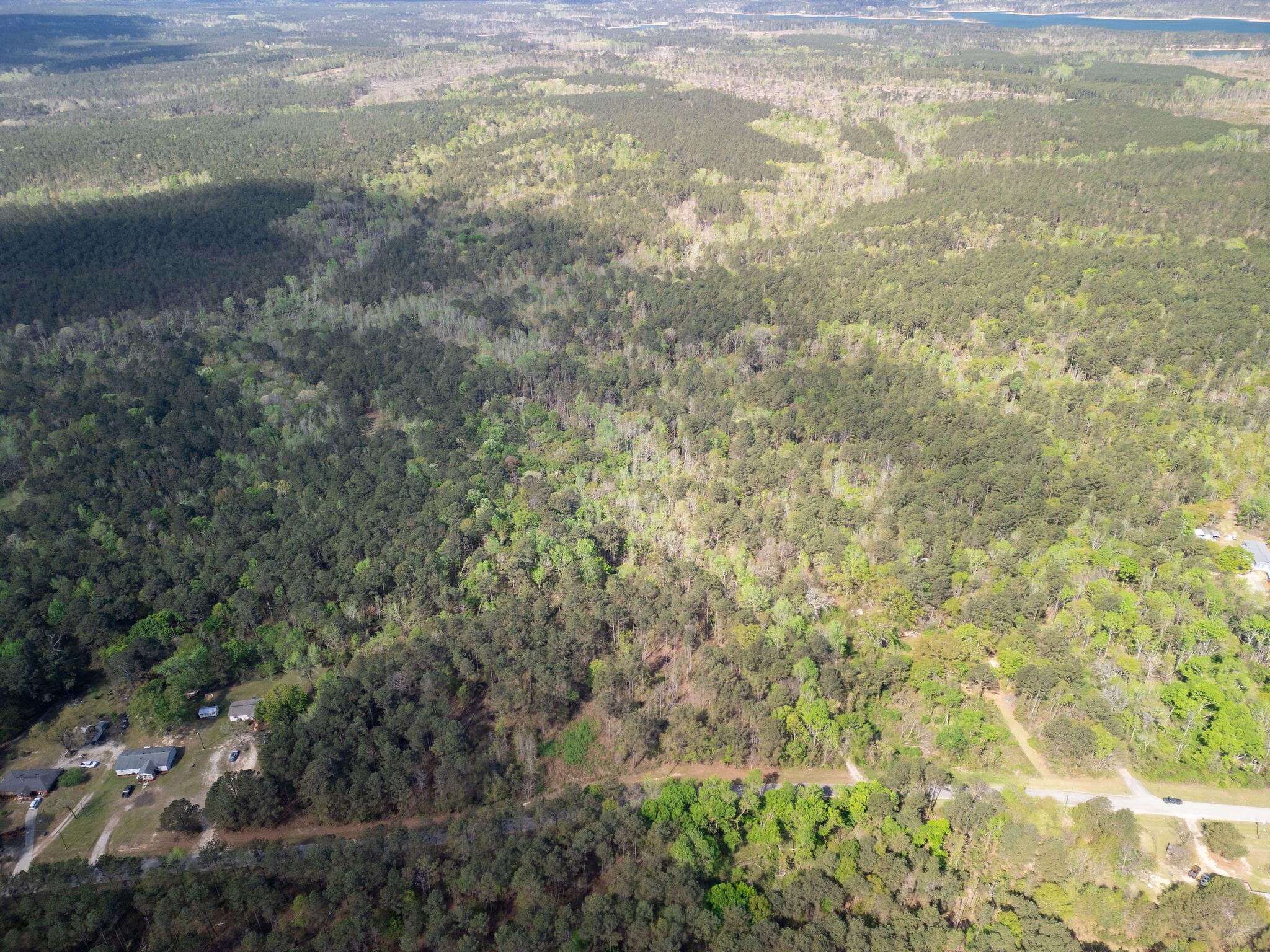 Undeveloped at 00 R G Lane, Appling, GA 30802, photo 3 of 7