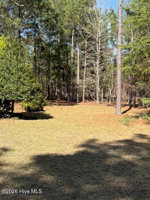Single Family Residence at 256 Shaver Lane, Jackson Springs, NC 27281, photo 10 of 18