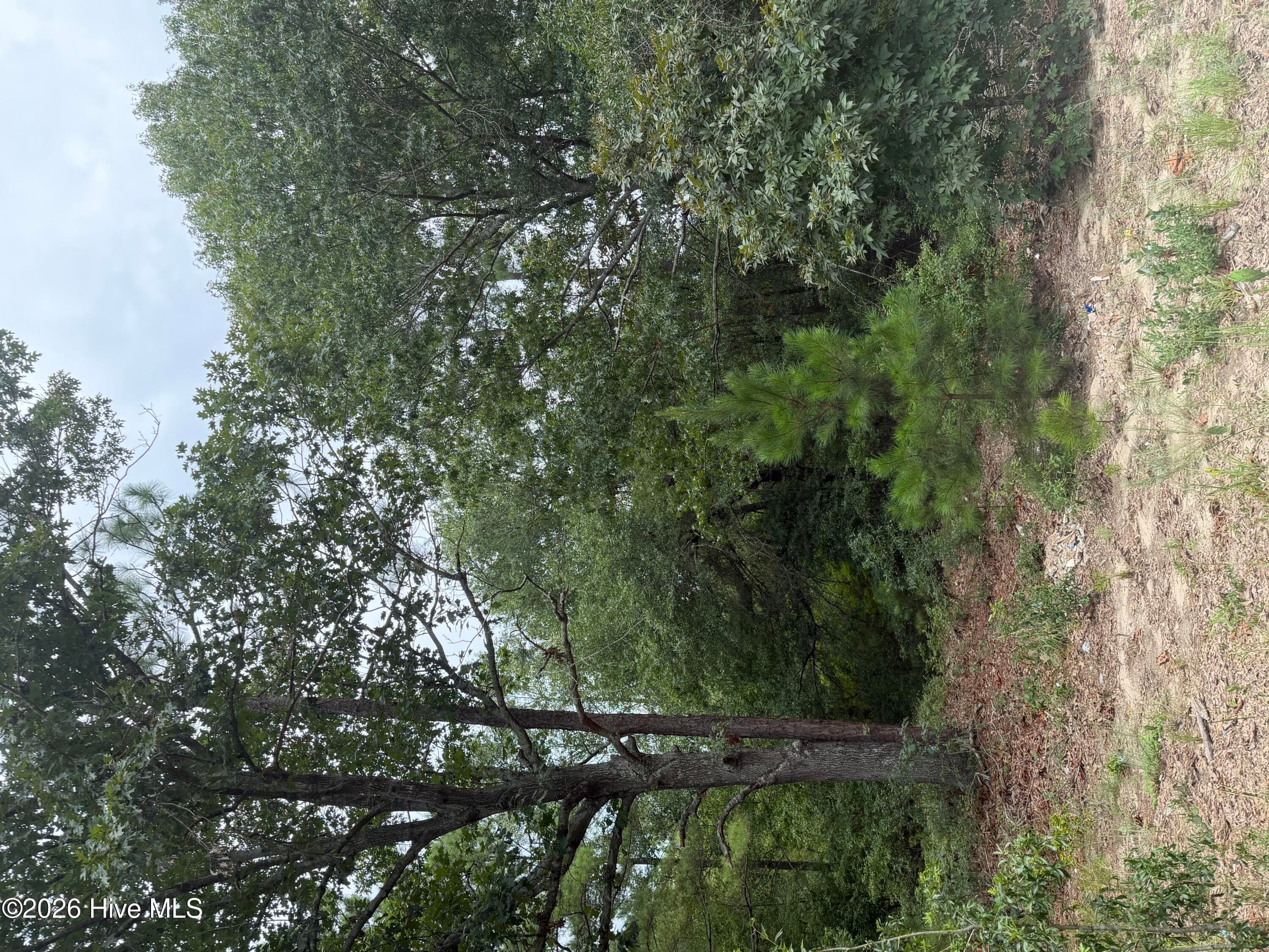 Undeveloped at 406 Douglas Drive, Beech Island, SC 29842, photo 2 of 3