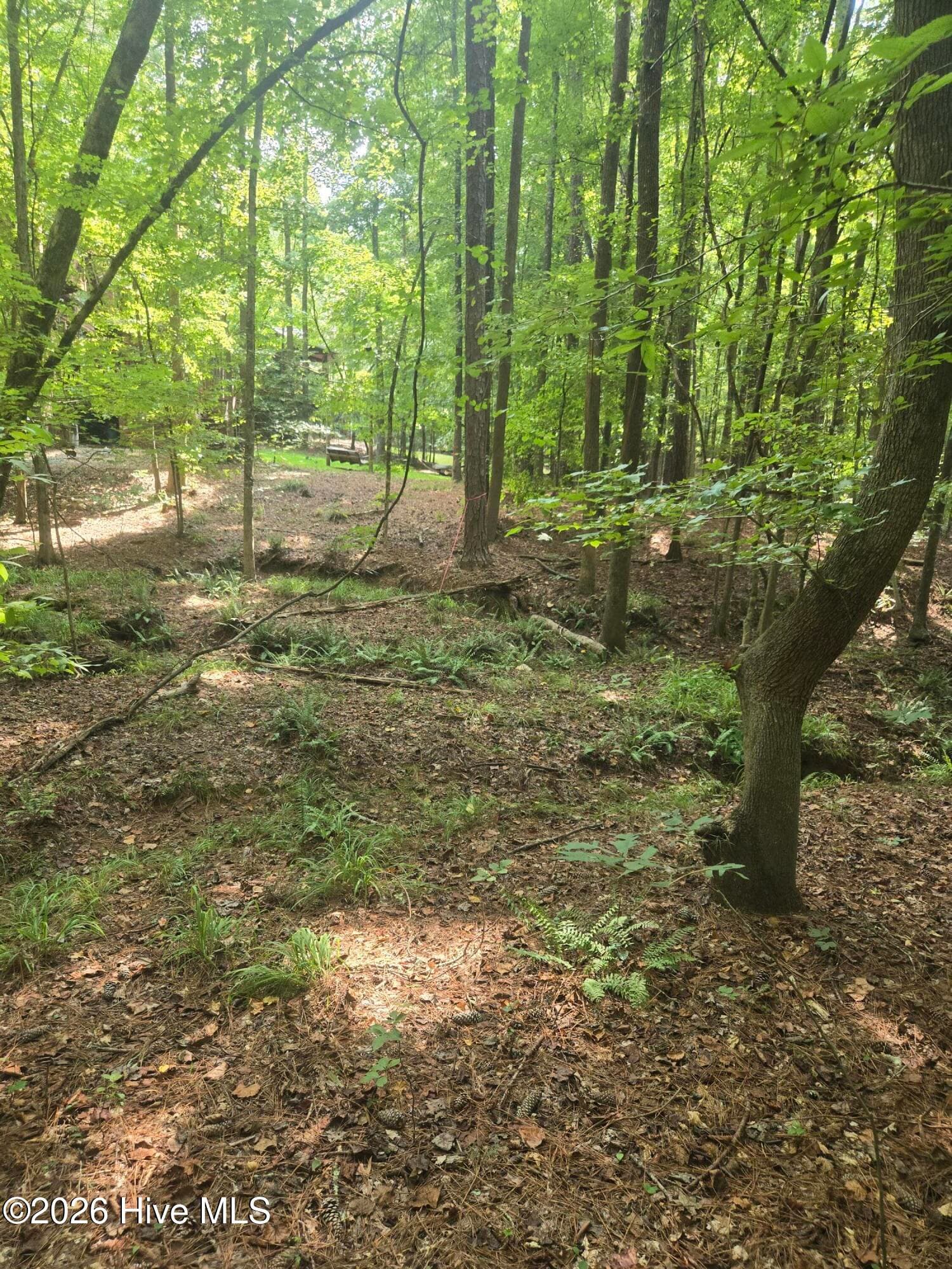Residential Lot at Lot 12 Fishing Creek Estates Road, Lincolnton, GA 30817, photo 6 of 8