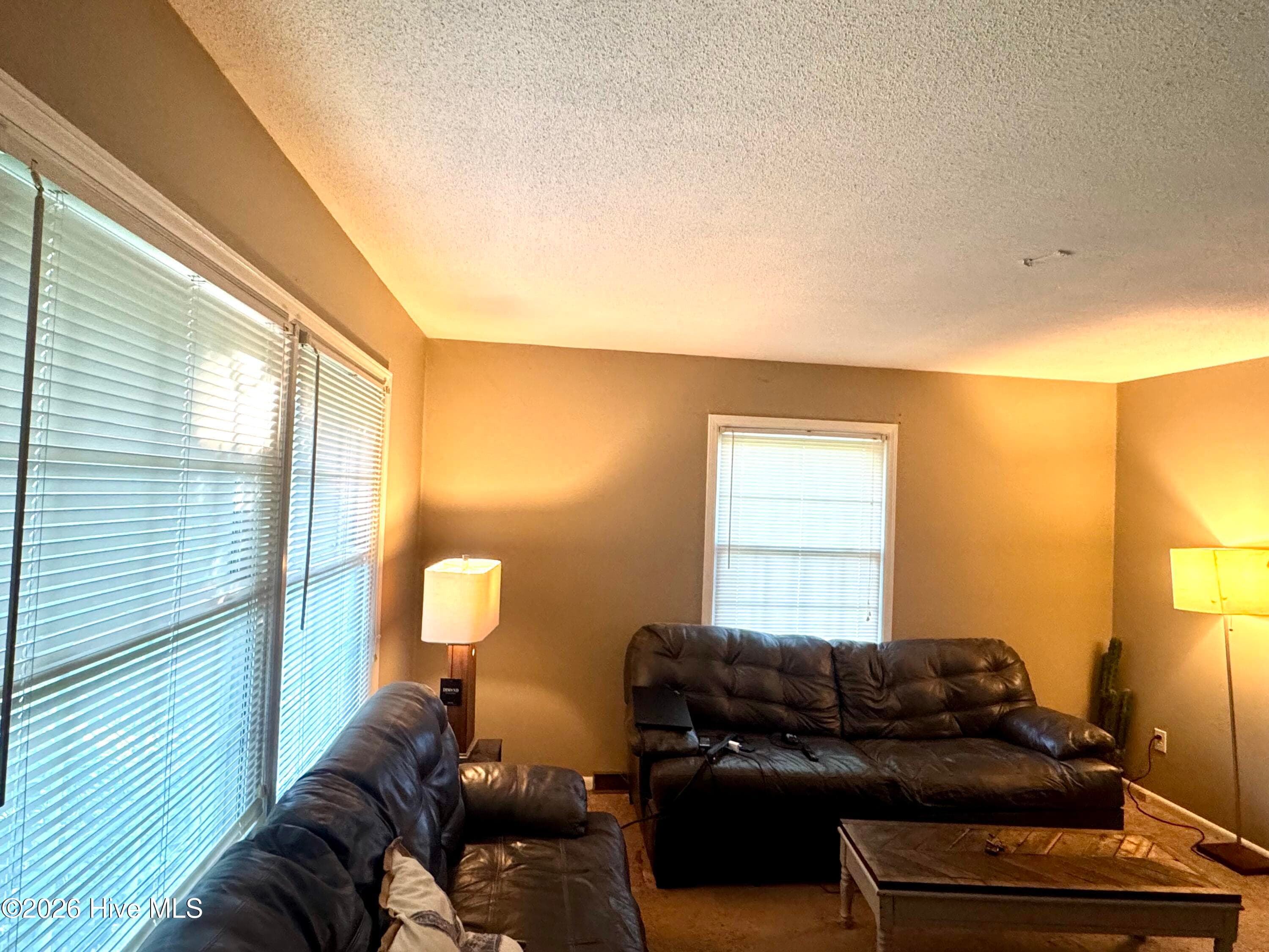 Single Family Residence at 3229 Bennett Siler City Road, Bennett, NC 27208, photo 11 of 24