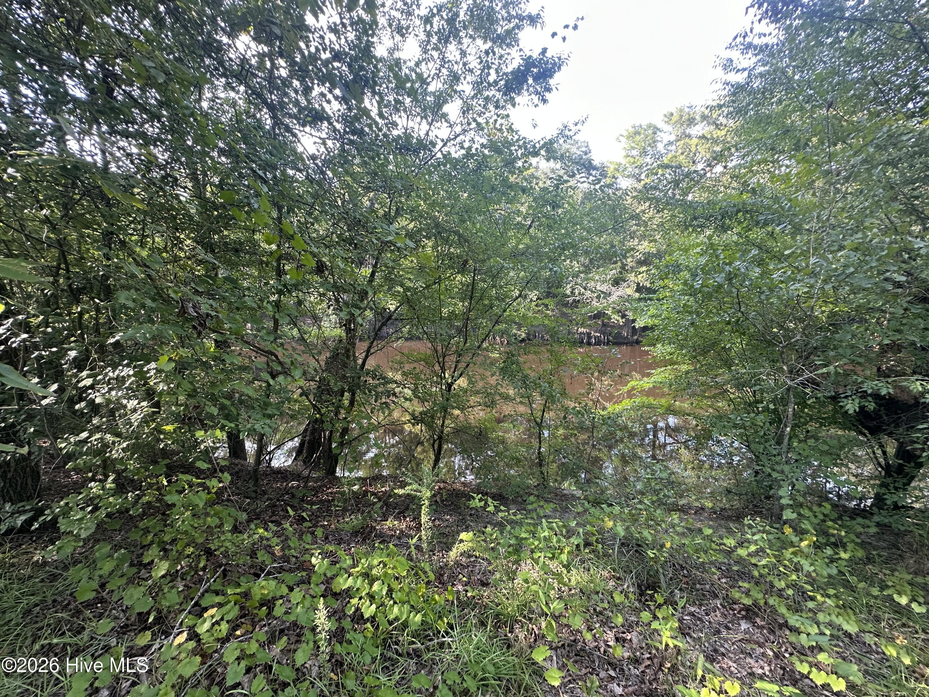 Residential Lot at 43 Black River Lane, Harrells, NC 28444, photo 14 of 15