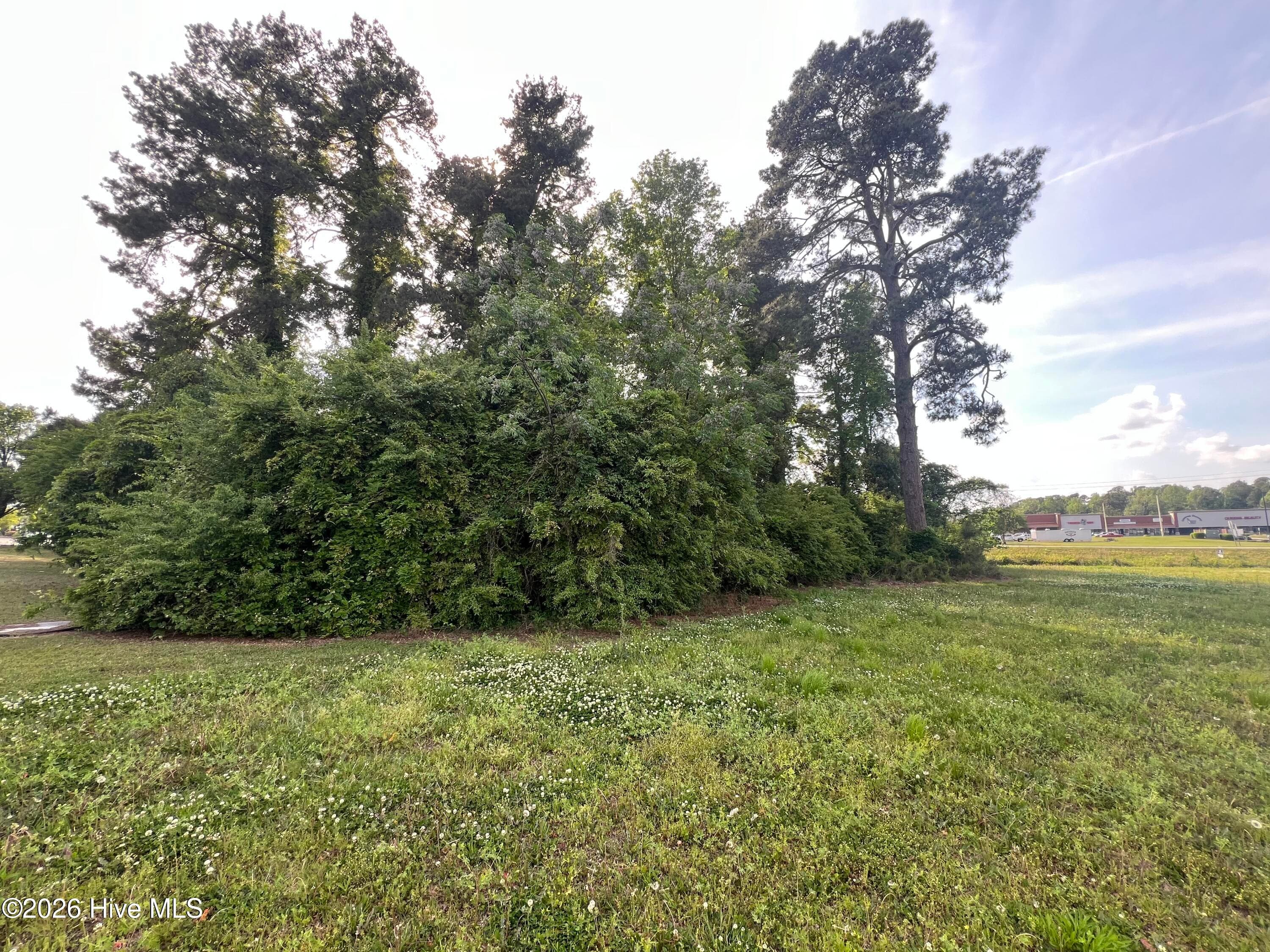 64142 S Near 1718 S Madison Street, Whiteville, NC 28472