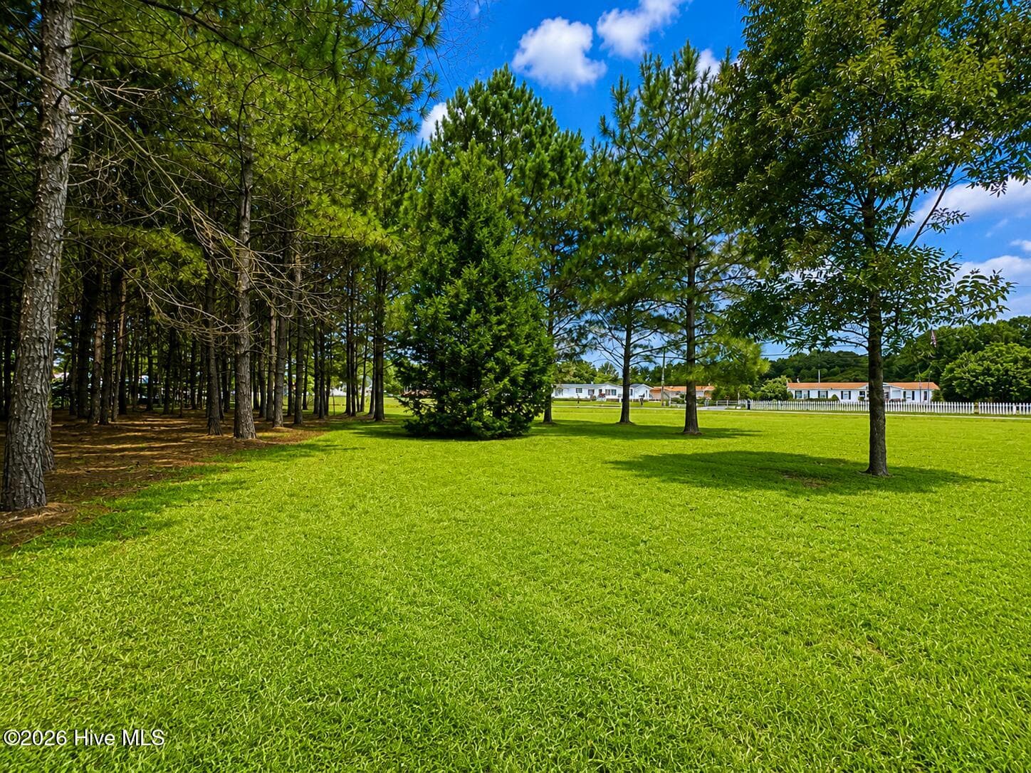 Residential Lot at 28 Bunn Road, Kenly, NC 27542, photo 11 of 11